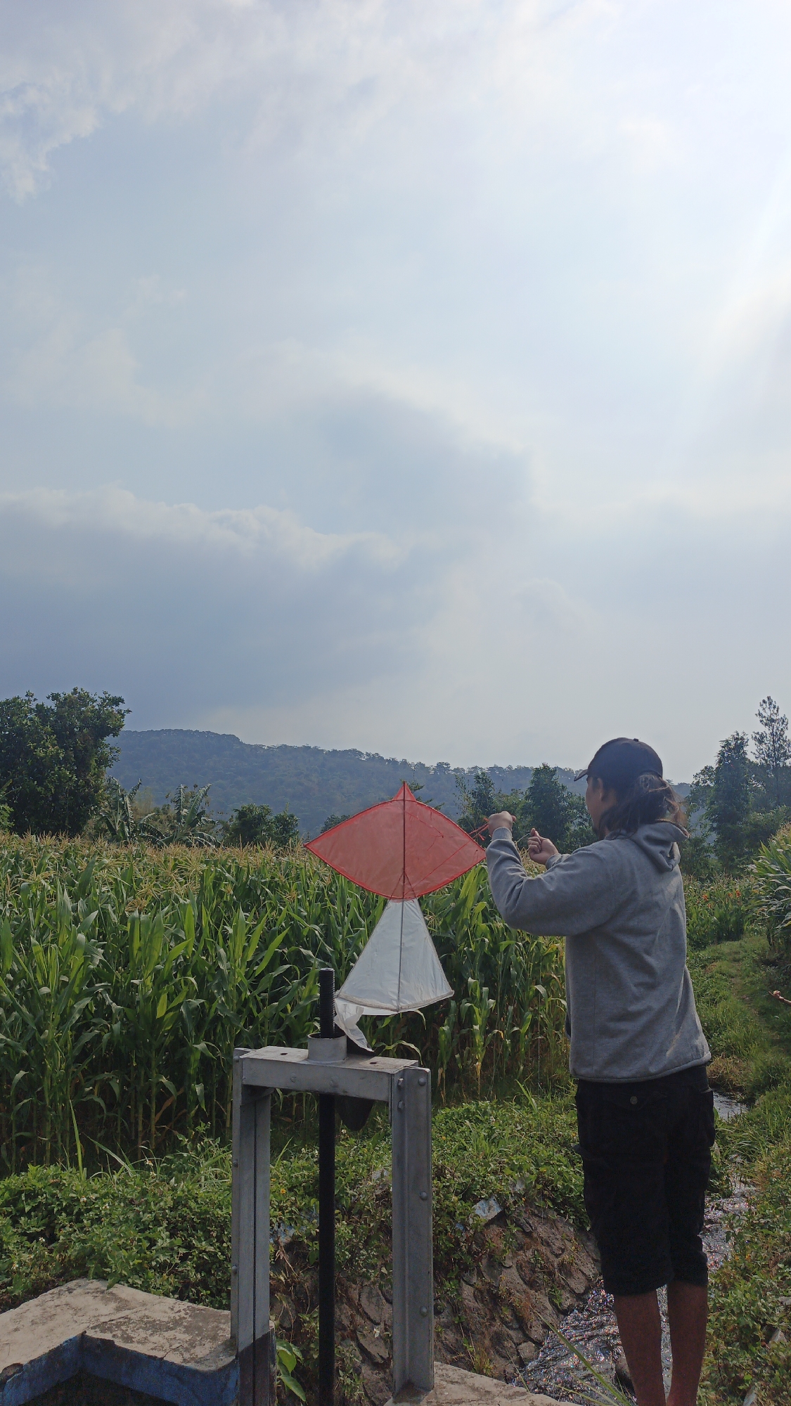 In Sajen, Indonesia, a person stands in a cornfield, holding a kite. The kite, a diamond shape, is red and white. The person, wearing a gray hoodie and black shorts, is looking up at the kite, which is partially assembled. Behind the cornfield, a line of trees and a hill can be seen. The sky is cloudy, with the sun peeking through in some areas. The scene appears to be set in the afternoon, with the sun casting a warm glow on the landscape.