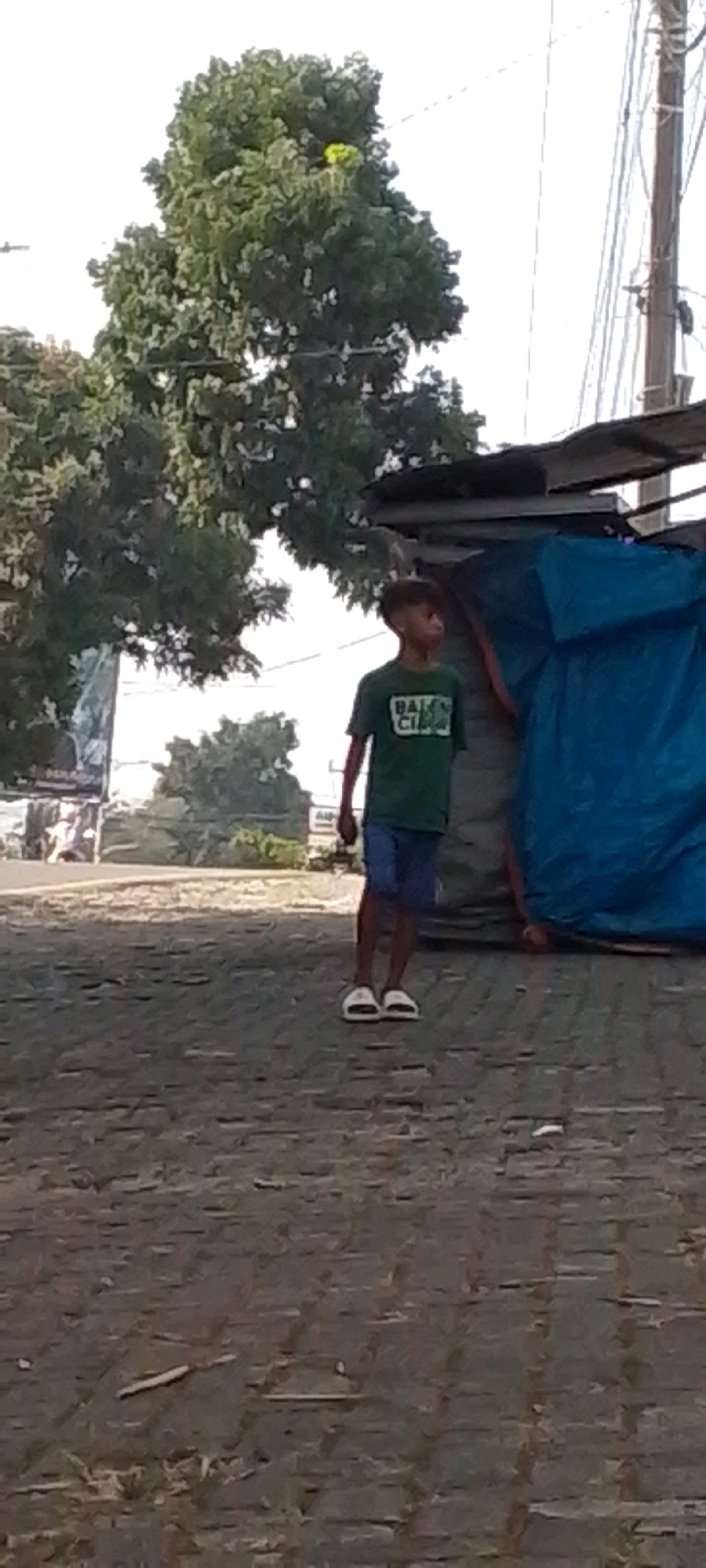 In Cilaku, Indonesia, a young boy wearing a green t-shirt with white lettering and blue shorts stands on a cobblestone path. He is looking upwards and to his right. To his right, a large blue tarp is stretched over a structure, partially obscuring some corrugated metal roofing. Behind the boy and to his left, a large, leafy green tree dominates the scene, with its branches extending across the upper portion of the frame. The sky is bright and overcast. A utility pole with numerous wires is visible to the right of the tree. In the background, further to the left, a faded billboard or advertisement is visible. The ground appears to be made of interlocking stones.