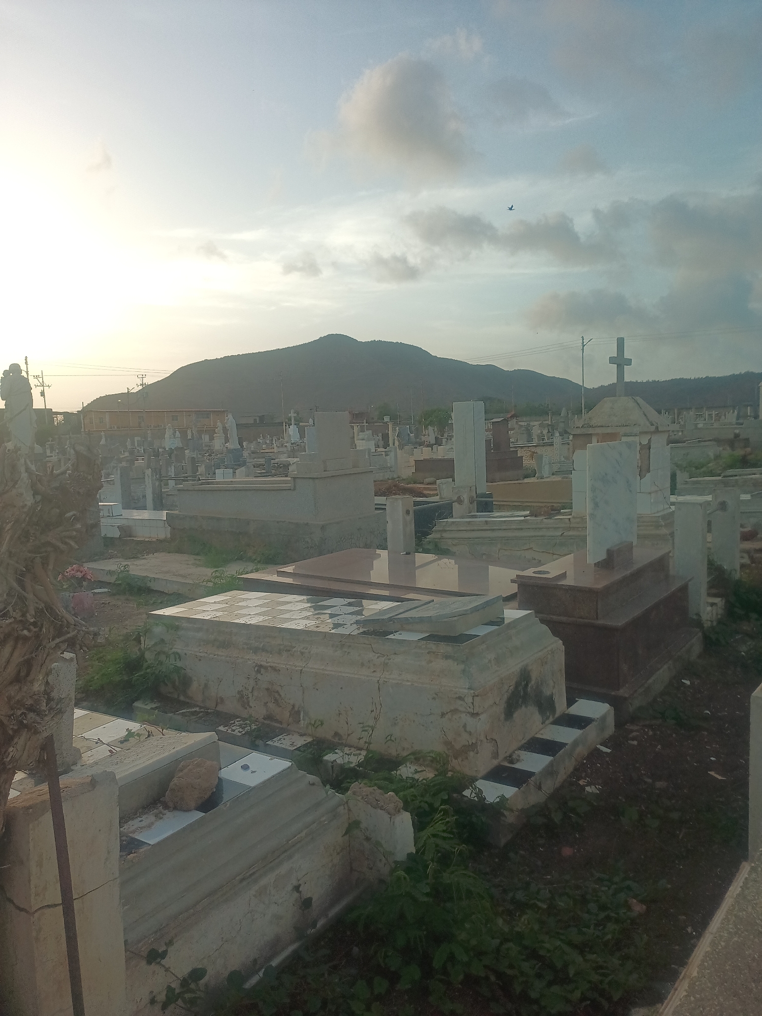 This image depicts a cemetery in Juan Griego, Venezuela, at dusk. The foreground is dominated by several tombstones and mausoleums, many appearing weathered and aged. Some tombstones are rectangular marble slabs, while others are larger, box-like structures, some with decorative elements or inscriptions that are not clearly legible. One prominent mausoleum in the foreground has a checkered black and white pattern on its base. Overgrown vegetation, including green plants and weeds, surrounds many of the graves, suggesting a lack of recent maintenance in some areas. In the mid-ground, more tombstones and structures of various sizes and designs are visible, stretching further into the cemetery. In the background, a large hill or mountain range forms the horizon, with a few buildings and utility poles visible at its base. The sky is a pale blue, with scattered clouds and the soft glow of the setting sun, indicating late afternoon or early evening light. A small bird is visible in flight in the sky. A large cross, a common religious symbol in cemeteries, stands prominently in the mid-ground. The overall impression is one of a peaceful, albeit somewhat neglected, resting place under a fading sky.