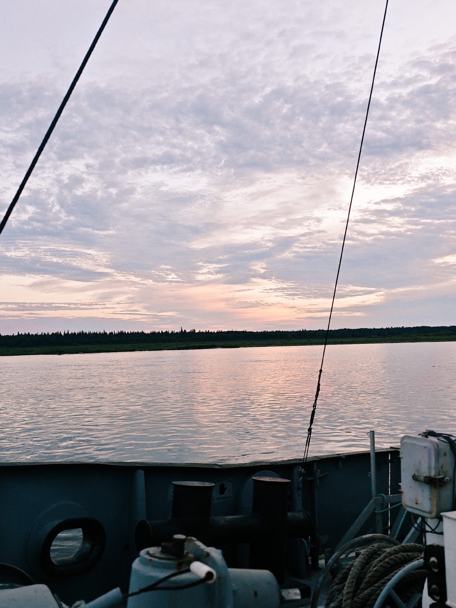 The image depicts a view from the deck of a boat on a body of water, possibly a river or a lake, during what appears to be either dawn or dusk. The sky is filled with a mix of soft white and pink clouds, suggesting a sunset or sunrise. In the distance, a dark, dense treeline forms the horizon, backed by more clouds. The water surface is calm, reflecting the colors of the sky. In the foreground, parts of the boat's deck are visible, including metallic structures, ropes, and what seems to be a bollard. The overall impression is one of tranquility. The location is identified as Nikulino, Russia.