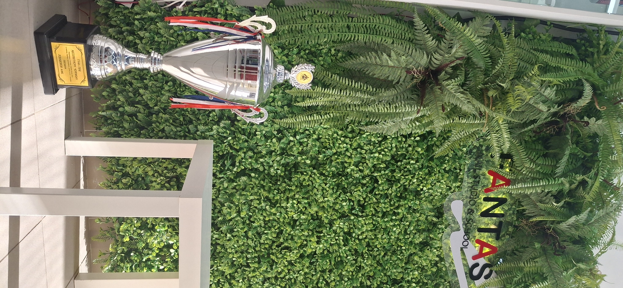 Here's a detailed description of the image:
The image shows a silver trophy placed on a background of artificial greenery consisting of small, rounded green leaves and ferns. Red, white, and blue ribbons adorn the trophy. The base of the trophy has a black rectangular component and a gold plaque with writing in a Cyrillic script. A white chair is partially visible to the left of the trophy.
To the right of the trophy is a clear sign with the word "FANTAZIAS" and the words "STUDIO & SCHOOL" written below in smaller fonts.
Based on the Cyrillic text and the mention of "FANTAZIAS STUDIO & SCHOOL", the image likely originates from or relates to the city of Chaikovsky in Russia.