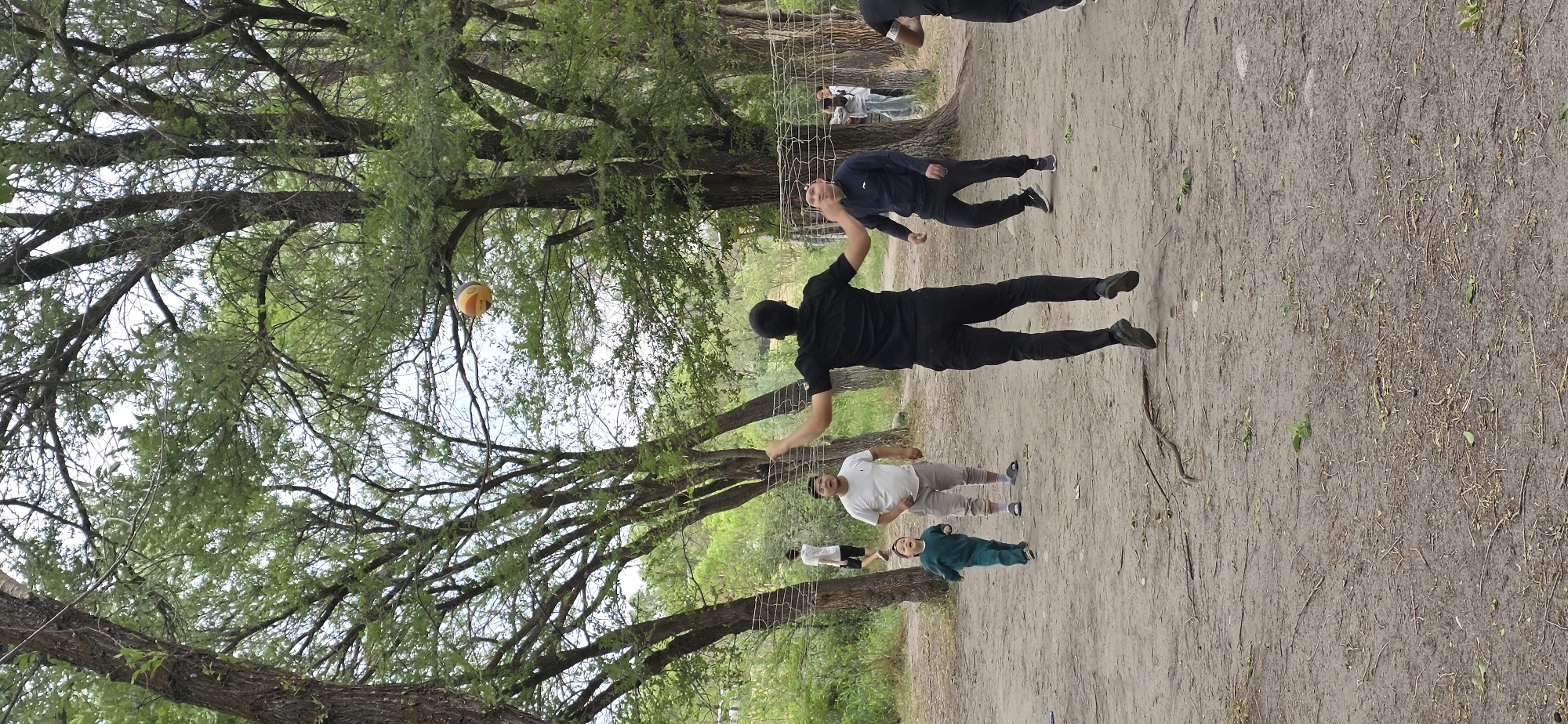 In Кашка-Суу, Kyrgyzstan, a group of people are engaged in a game of volleyball in a wooded area. The scene captures a moment of active play, with a man in a black shirt mid-air, reaching for the ball. The ball is visible in the upper right quadrant of the image, suspended near a tree branch. Several other individuals are positioned around a volleyball net, which spans across the frame, suggesting an informal match. The ground is covered in dirt and scattered leaves and twigs, indicative of an outdoor, natural setting. The background is filled with lush green trees, creating a canopy overhead and contributing to the park-like atmosphere. The overall image portrays a casual gathering enjoying a recreational activity amidst nature.