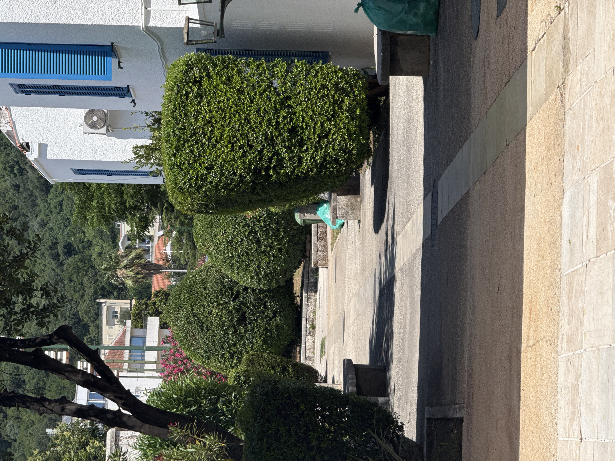 The image depicts an outdoor scene in Budva, Montenegro. In the foreground, a paved walkway is visible, with sections of light beige and darker grey paving stones. To the left, a dark-barked tree with green foliage casts a shadow across the walkway. Further back, several large, neatly trimmed green bushes dominate the landscape. To the right, a white building with blue shutters and an air conditioning unit is present. A stone bench is situated in front of a large bush on the right side of the walkway, and a green trash bag is placed on it. Another similar bench is visible in the background to the left, also with a green trash bag. In the middle ground, a path leads towards a stone wall and more manicured greenery. The background reveals more buildings and lush green hills. The overall impression is one of a well-maintained garden area adjacent to a residential building.