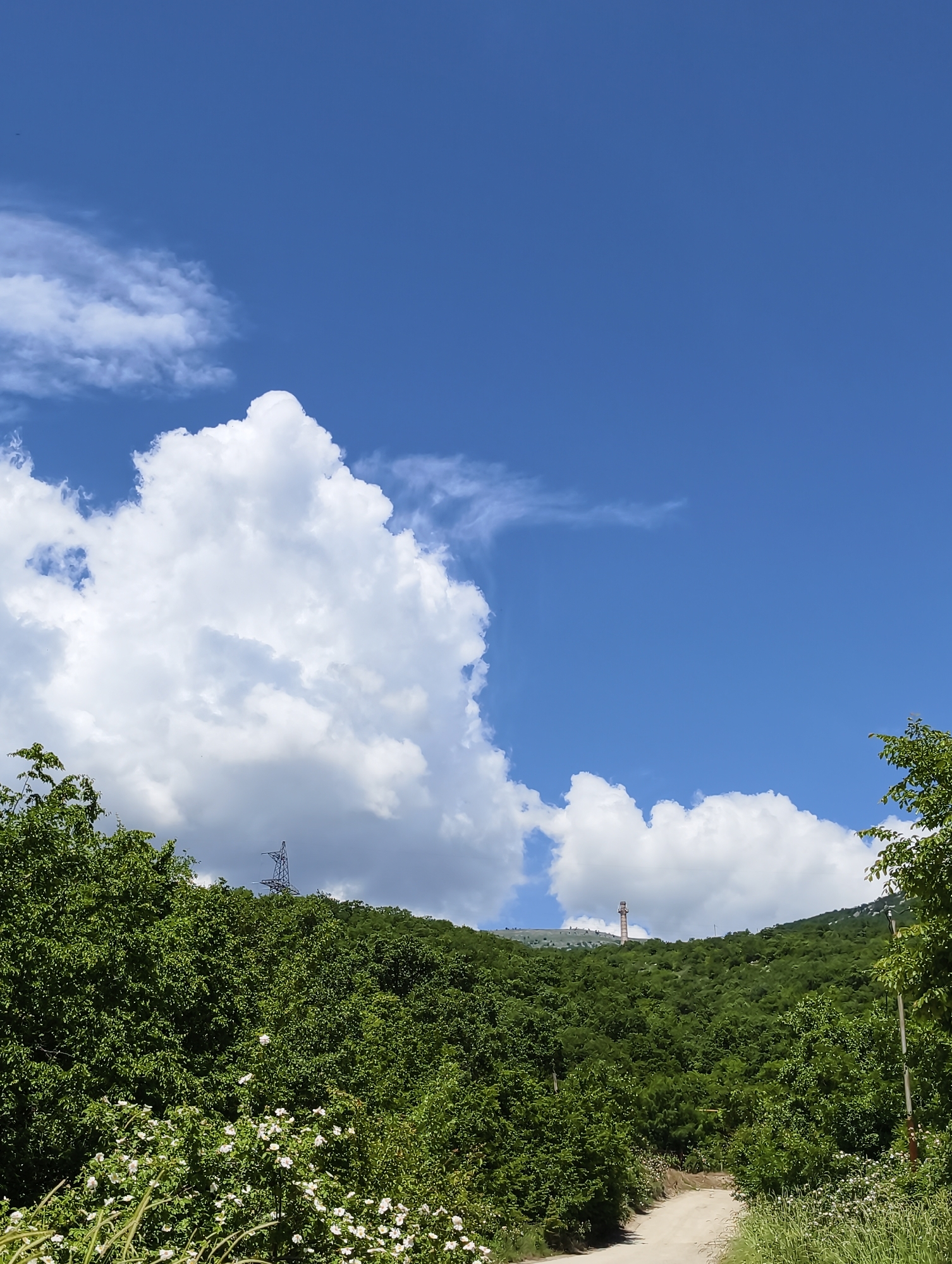 The image presents a daytime landscape in a hilly, forested region near Chaika, Ukraine. The upper two-thirds of the frame are dominated by a bright blue sky partially obscured by large, dense white cumulus clouds, with some thinner cirrus-like clouds higher up. The lower third features lush green deciduous trees and bushes that cover rolling hills. In the immediate foreground, a dirt path curves into the scene from the lower center-right, flanked by abundant green foliage, including bushes densely dotted with small white flowers and patches of tall green grass.
Two distinct human-made structures are visible on the hillsides. On the upper left, partially integrated into the treeline, a dark metallic lattice transmission tower (pylon) stands. Further to the right and appearing more distant, a tall, slender, cylindrical tower with horizontal reddish-brown banding, possibly a communication mast or a chimney, rises above the tree line on a separate hill. No people, animals, or vehicles are present in the scene. The lighting suggests a clear, sunny day.