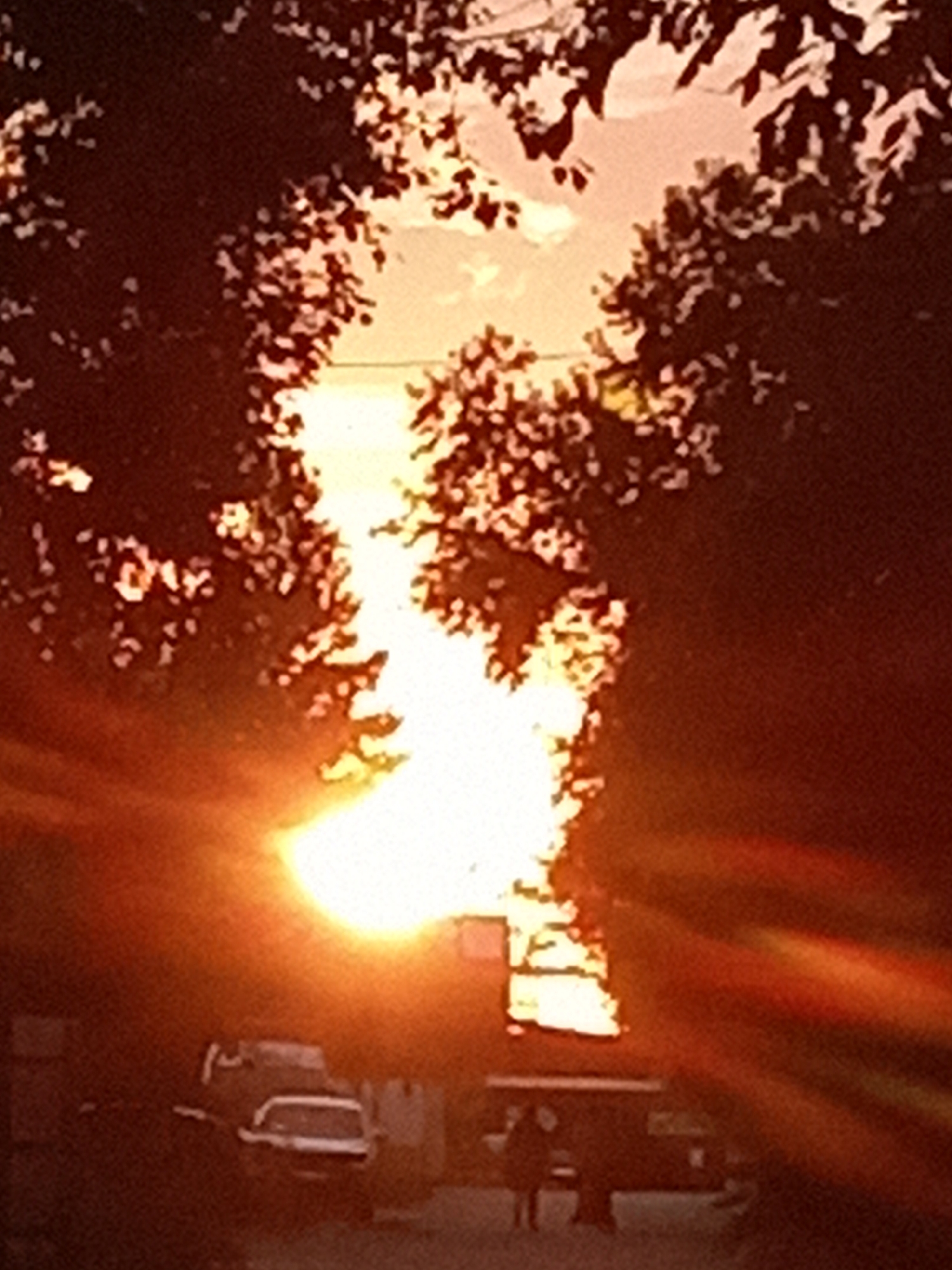 A bright, hazy sunset is captured through trees in Rudny, Kazakhstan. The sun, an intense white-yellow, is partially obscured by dark, leafy branches that frame the upper portion of the image. Lens flare streaks across the right side of the frame, tinged with orange and red. In the foreground, a dark silhouette of a person stands on a road. To the left, the roof and rear of a white car are visible, also silhouetted. The overall scene is bathed in warm, reddish-orange light, typical of a sunset. The environment appears to be an outdoor urban setting.