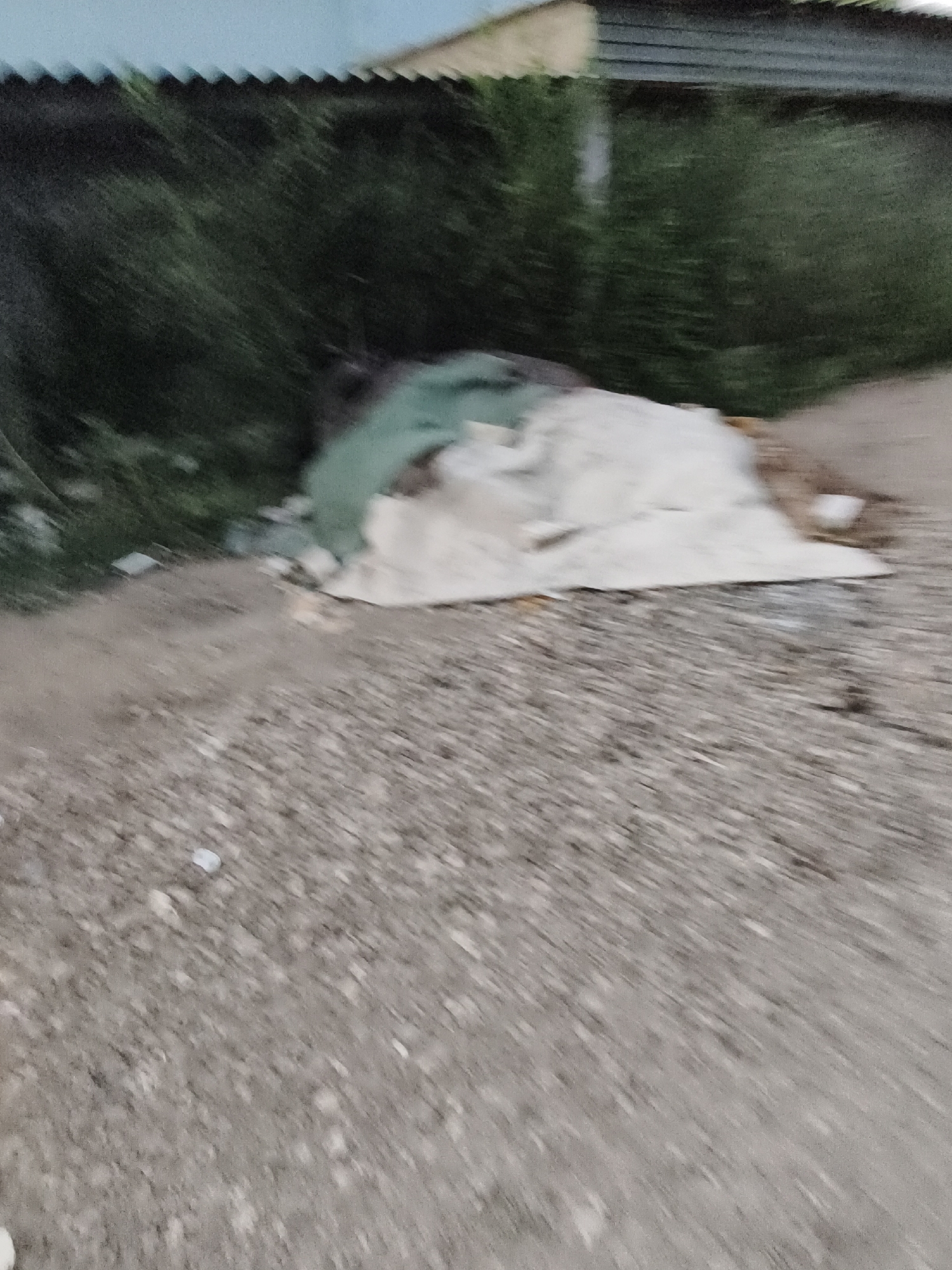 The image depicts an outdoor scene, possibly in a less developed area of Aktobe, Kazakhstan. In the foreground, a rough, gravelly surface is visible, with small white and gray pebbles scattered across it. This area appears to be a pathway or unpaved ground.
In the mid-ground, a pile of what seems to be discarded materials is present. This pile includes large, light-colored sheeting, possibly plastic or fabric, partially covering other items. A greenish tarp or fabric is also draped over a portion of the pile. The materials are haphazardly arranged, suggesting they have been dumped.
Behind the pile of debris, there is dense green vegetation, appearing as bushes or a thicket. The vegetation is somewhat blurred, indicating movement or the focus of the camera being elsewhere.
In the background, a structure is partially visible. The top of the structure has a corrugated metal roof, and below it, a light blue surface, possibly a wall or fencing, can be seen. The overall impression is that of an area where waste has been disposed of, adjacent to natural vegetation and a man-made structure. The scene lacks any clear indicators of specific human activity at the moment the photo was taken.