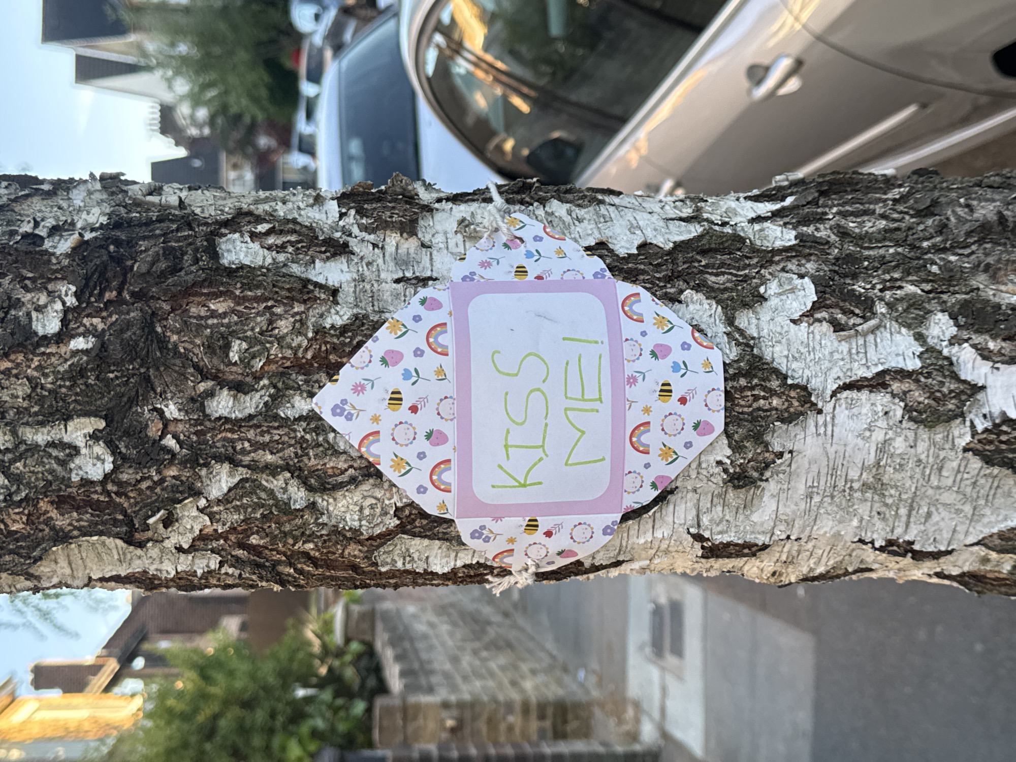 A close-up, horizontal shot captures a textured tree branch, likely from a birch tree, characterized by its distinctive white and dark flaky bark. Attached to the center of the branch is a small, decorative paper note, shaped like a flattened envelope or gift tag. The note features a playful pattern of bees, small flowers, rainbows, and strawberries against a light background. A rectangular pink border frames the center, where the words "KISS ME!" are written in cheerful green, handwritten-style capital letters. A thin white string secures the note to the branch, visible at its top and bottom edges.
The background is softly blurred, indicating an outdoor setting, likely a street or park in London, United Kingdom. In the upper background, a silver or grey car is partially visible, reflecting the bright daylight, suggesting it is either early morning or late afternoon. Below the car and behind the branch, out-of-focus buildings and hints of green foliage can be seen, contributing to the urban or suburban environment. No specific activity is depicted, but the note acts as a whimsical and lighthearted invitation or dare. The lighting is soft and natural, casting a pleasant glow on the scene.