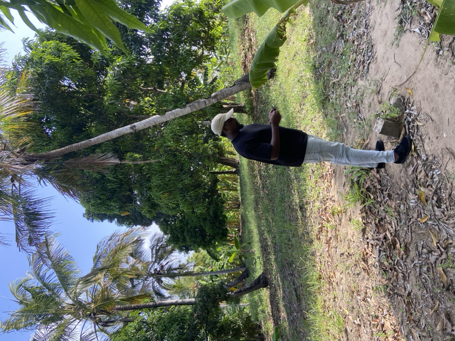 A man in a black shirt, light-colored pants, and a tan cap stands in a landscape with varied trees and vegetation. Tall palm trees are visible against a blue sky, along with other lush green trees. The ground is a mix of dirt, grass, and fallen leaves. The man seems to be looking at or holding something in his hands, possibly a phone.