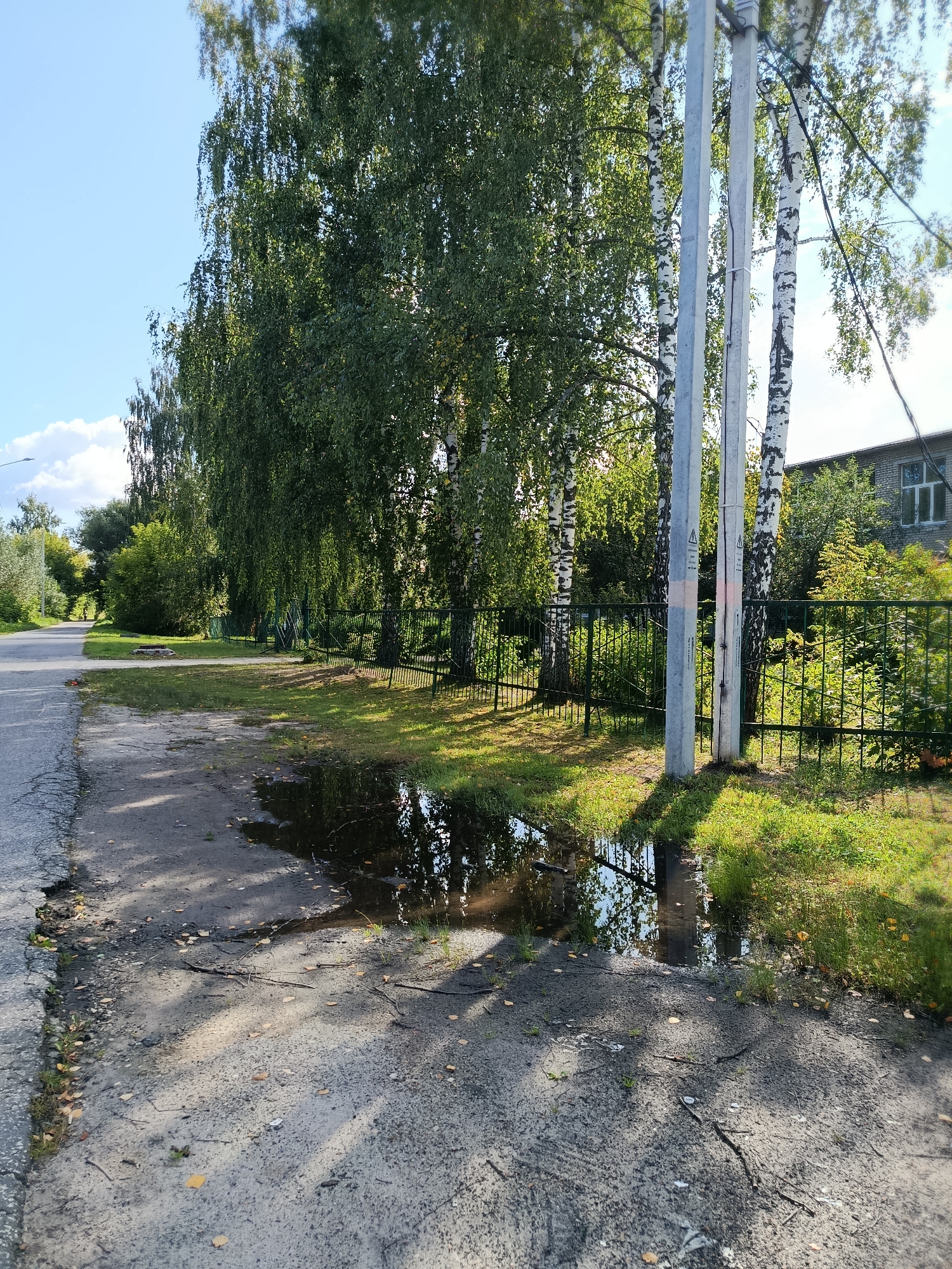 A street scene features a puddle of water on a dirt and asphalt surface, reflecting the sky, trees, and a fence. To the right of the puddle is a grassy area bordered by a black metal fence, behind which are trees and a brick building with windows. Two utility poles stand in the foreground, one next to a birch tree. The road extends into the distance, lined with trees and greenery. The sky is blue with scattered clouds.