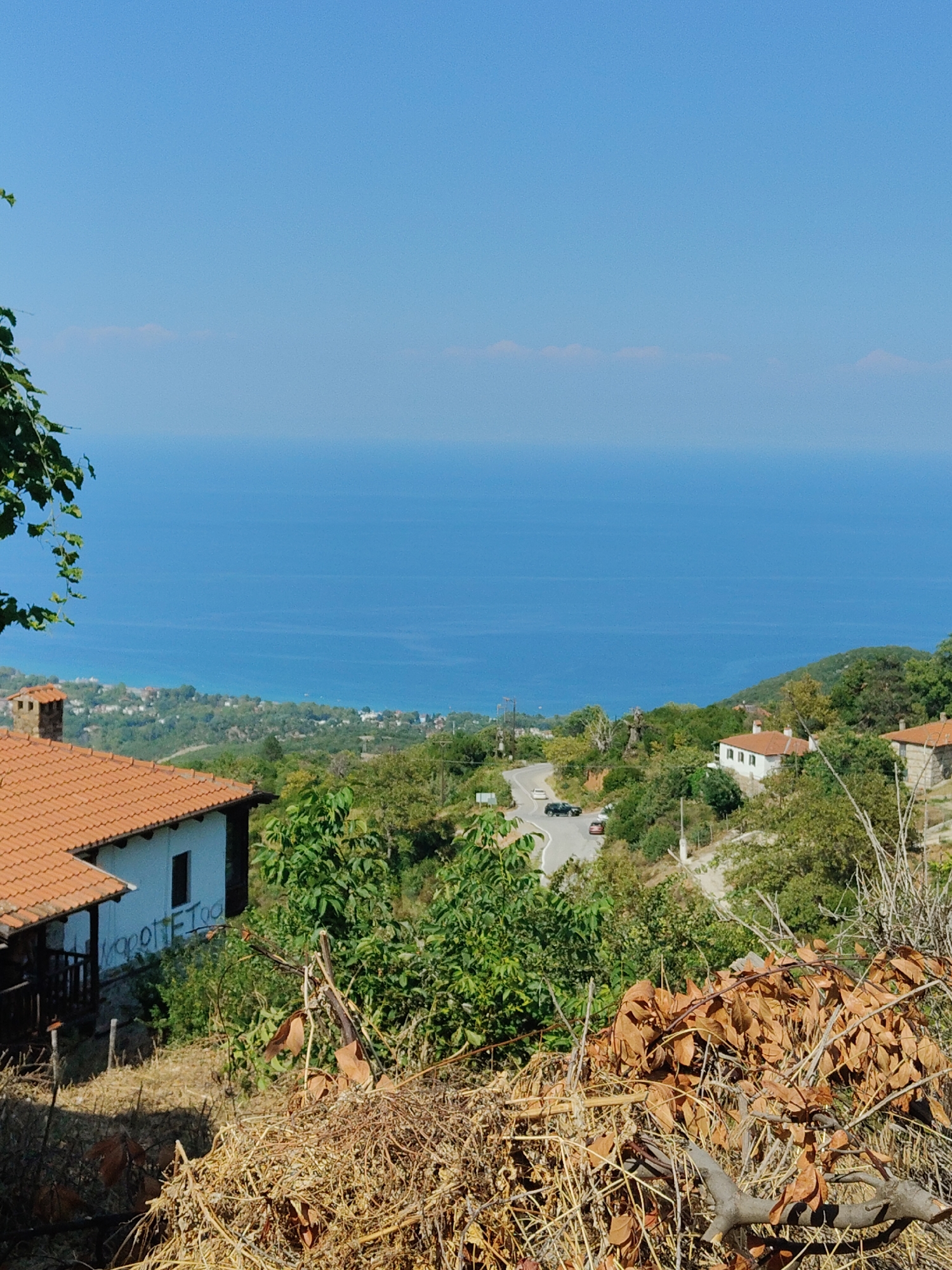 The image shows a panoramic view from a hillside overlooking the Aegean Sea in Palaios Panteleimonas, Greece. In the foreground, there are dry, brown grasses and fallen leaves, with a hint of green foliage from a vine on the left. Two houses with terracotta tile roofs are visible on the hillside. The house on the left is partially white with a dark-framed window and wooden railings on a porch. Graffiti is visible on the white wall of this house. The house on the right is partially stone-built with white walls and a terracotta roof. A winding road with two cars, one black and one orange, travels through the lush green hillside dotted with more houses. The middle ground features a dense forest of green trees and vegetation. The background is dominated by the vast expanse of the deep blue Aegean Sea, with a faint line of land and possibly smaller settlements visible in the distance along the coast. The sky is clear and bright blue.