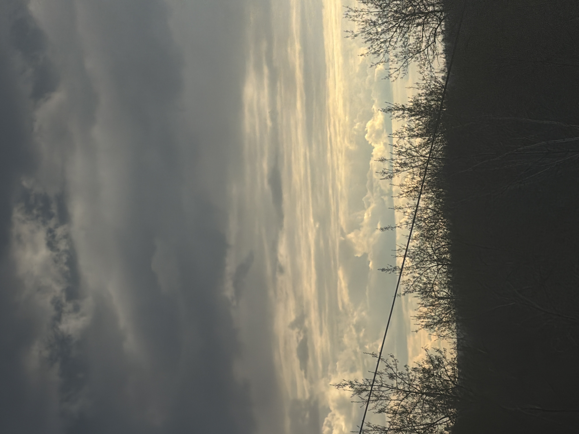 The image, viewed as a landscape, depicts a dramatic sky above a silhouetted tree line. The upper half of the sky is dominated by heavy, dark grey clouds, suggesting an overcast or potentially stormy condition. Below this, the clouds transition into brighter formations, illuminated with white and golden hues, indicating sunlight breaking through or reflecting from a low sun. These lighter clouds are streaked horizontally, creating a strong visual contrast with the darker clouds above.
At the bottom of the image, a dense mass of bare trees forms a dark, silhouetted horizon line. Their intricate, leafless branches are visible against the brighter sky, characteristic of winter or early spring in a cold climate such as Perm, Russia. A thin, dark power line stretches horizontally across the lower portion of the image, passing in front of the tree line.
The lighting suggests late afternoon or early evening, likely around sunset, given the warm, golden glow on the illuminated clouds. The scene captures a dynamic weather moment, blending heavy cloud cover with areas of intense light. There are no people or specific activities visible. No text is present in the image.