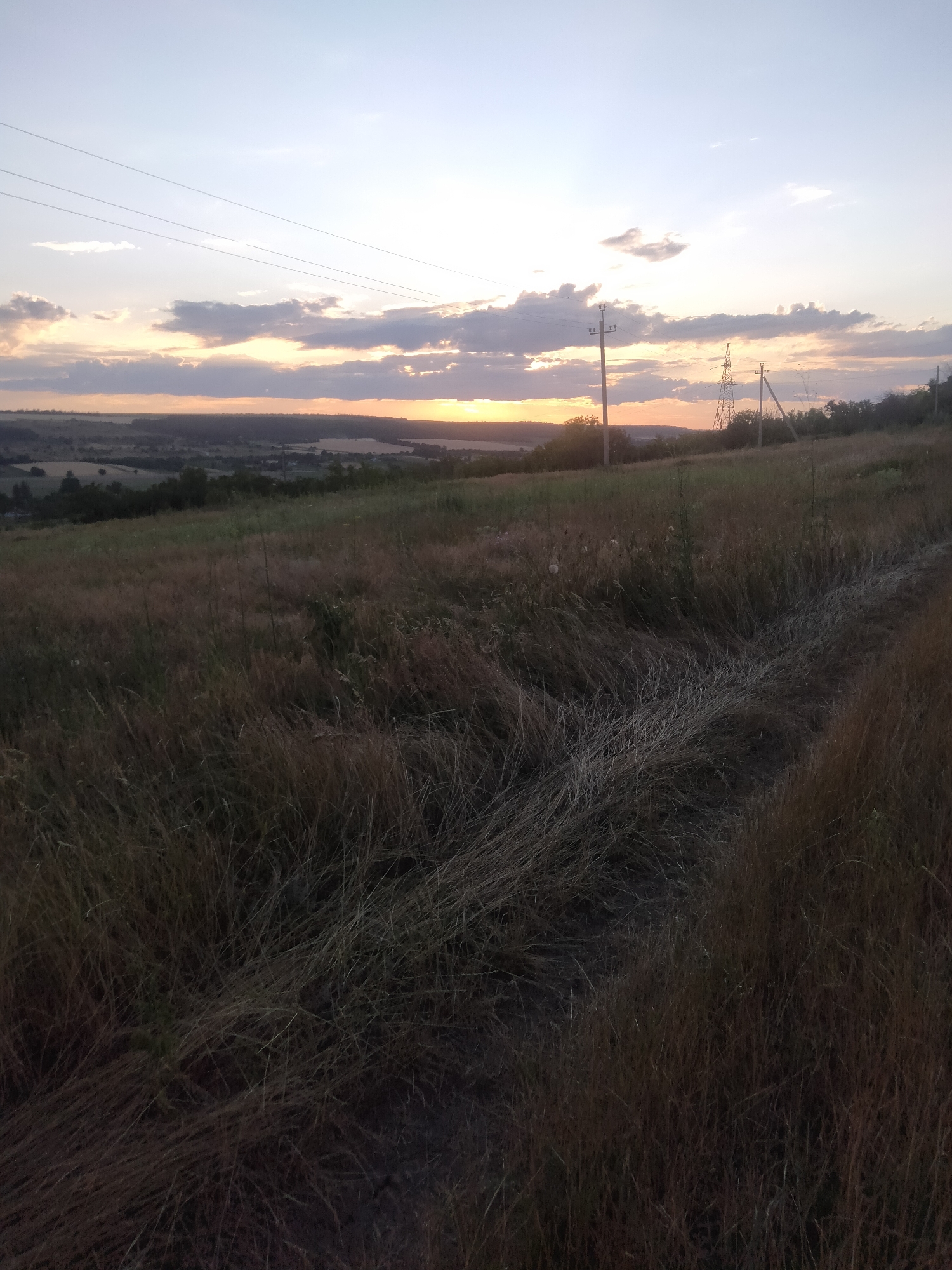 A wide-angle, high-angle shot captures a rural landscape at sunset. The sky is a pale blue, transitioning to hues of orange and pink near the horizon where the sun is setting. Wispy clouds are scattered across the sky. In the foreground, tall, dry grass is prevalent, with a dirt path visible in the lower right quadrant. In the mid-ground, a rolling landscape of fields and trees stretches to the horizon. Power lines are visible in the upper left of the image. Several electrical poles and a large transmission tower are scattered throughout the mid-ground and background, suggesting the presence of infrastructure in this otherwise natural setting. The scene is devoid of any human presence.
