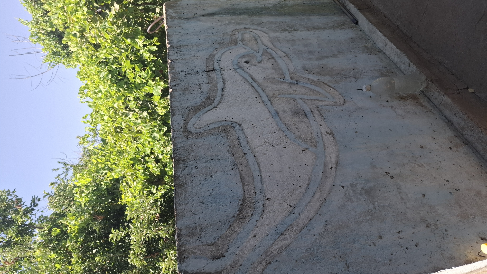 The image captures an outdoor scene with a concrete wall as the focal point. The wall features a relief carving of a dolphin. Behind the wall, lush green foliage and trees are visible against a clear blue sky. On the ledge in front of the wall, a partially filled plastic water bottle stands upright. The environment appears to be in Шұбарсу, Kazakhstan, suggested by the specific location provided for the image. The image is taken from a medium distance, providing a clear view of the wall, the carving, and the surrounding vegetation.