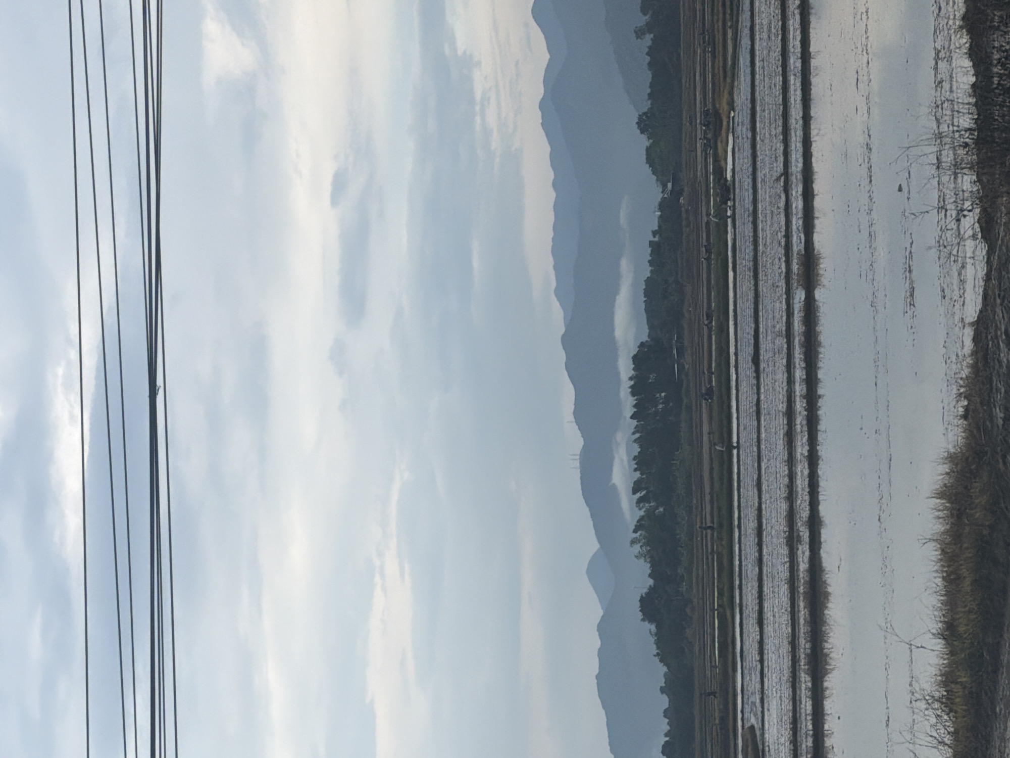 In Dien Lac, Vietnam, on a cloudy day, power lines stretch across the top of the frame, hovering over a rural landscape. Below, layered fields of rice paddies reflect the overcast sky. Several figures, likely farmers, are visible in the distance, tending to the crops. Behind the fields, a line of trees and vegetation separates the farmland from a range of hazy blue mountains in the background. The overall impression is one of agricultural activity within a natural, serene setting.