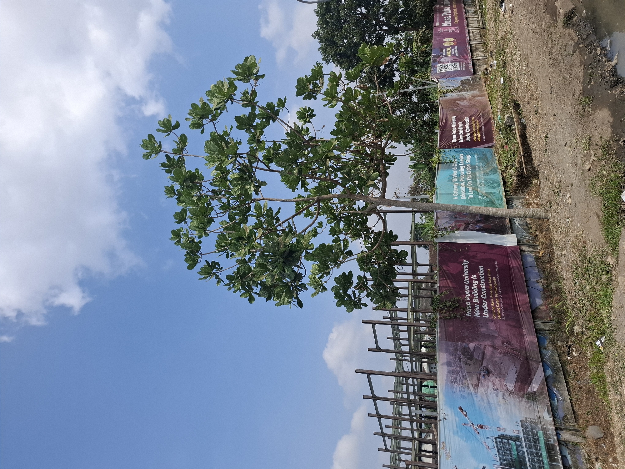 In the city of Selajambe, Indonesia, under a clear blue sky dotted with white clouds, a construction site is visible. A partially constructed building, made of steel beams, stands in the background. In the foreground, a large tree with green leaves is prominent. A series of banners are displayed along a fence in front of the construction site. One banner, featuring an image of a building under construction and cranes, displays text in both English and Indonesian. The text reads "Nusa Putra University New Building Is Under Construction" and "Gedung Baru Universitas Nusa Putra Sedang Dalam Pembangunan." Another banner features the text "A Gateway to World-Class Education, Preparing Leaders To Lead On The Global Stage." The ground is covered with dirt and some sparse vegetation, with a muddy area visible on the right side.