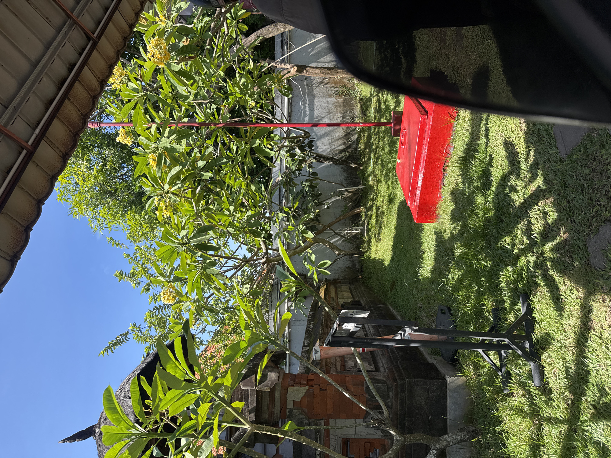 An outdoor scene in Kuta Selatan, Indonesia, bathed in bright sunlight, features a lush green lawn and vibrant vegetation under a clear blue sky. To the left, a traditional Balinese building with a thatched roof and brick construction is partially visible. In the foreground, a black metal stand supports a sign or display. A bright red, rectangular structure with a lid stands in the middle of the lawn, connected to a tall red pole that extends upwards. Several trees with green leaves and yellow flowers are scattered throughout the yard. A gray concrete wall forms the background. The lower right portion of the image is obscured by a dark, reflective surface, possibly the interior of a vehicle. No people are visible in the scene.
