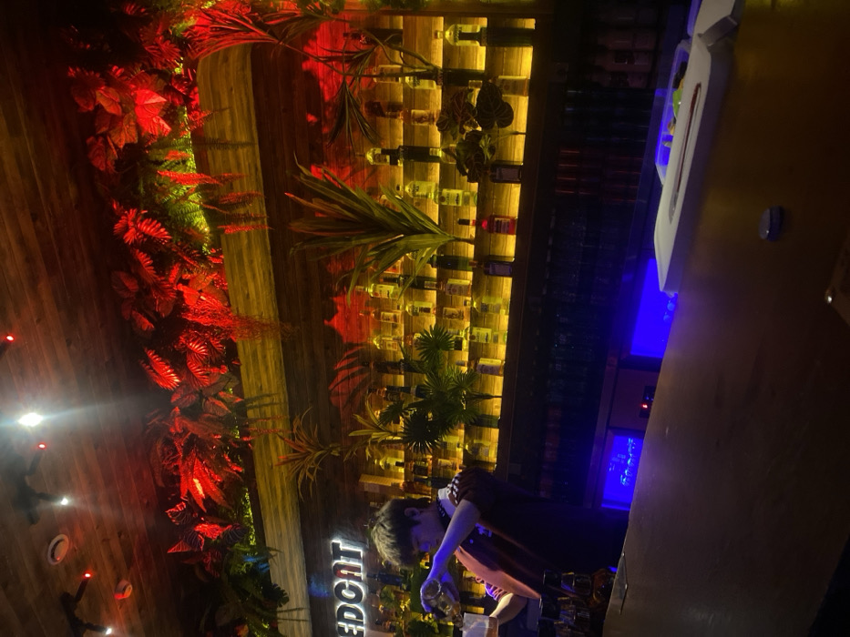 A bar interior features a bartender preparing a drink at the counter. The backdrop includes shelves displaying numerous liquor bottles illuminated with yellow lighting, intertwined with tropical plants and red foliage. Above, a wooden ceiling is dotted with small lights. The counter is lit with blue hues, contrasting with the warmer tones behind it.