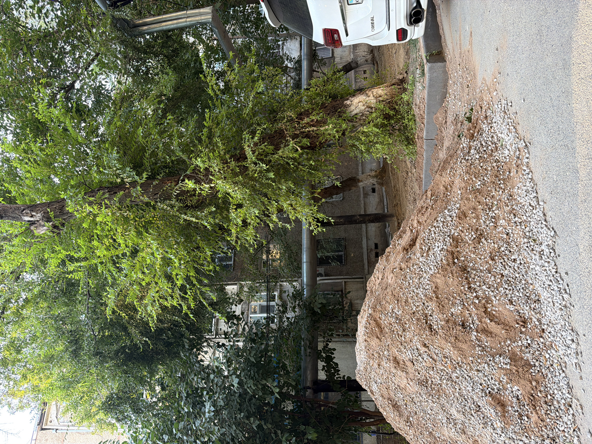 A construction site in the city of Shymkent, Kazakhstan, features a large pile of sand and gravel in the foreground. Behind the pile, a tree with lush green foliage stands next to a multi-story building with visible windows and pipes. A white SUV is parked on the right side of the frame, with its rear bumper and taillights visible. The overall scene suggests an ongoing outdoor construction or renovation project.