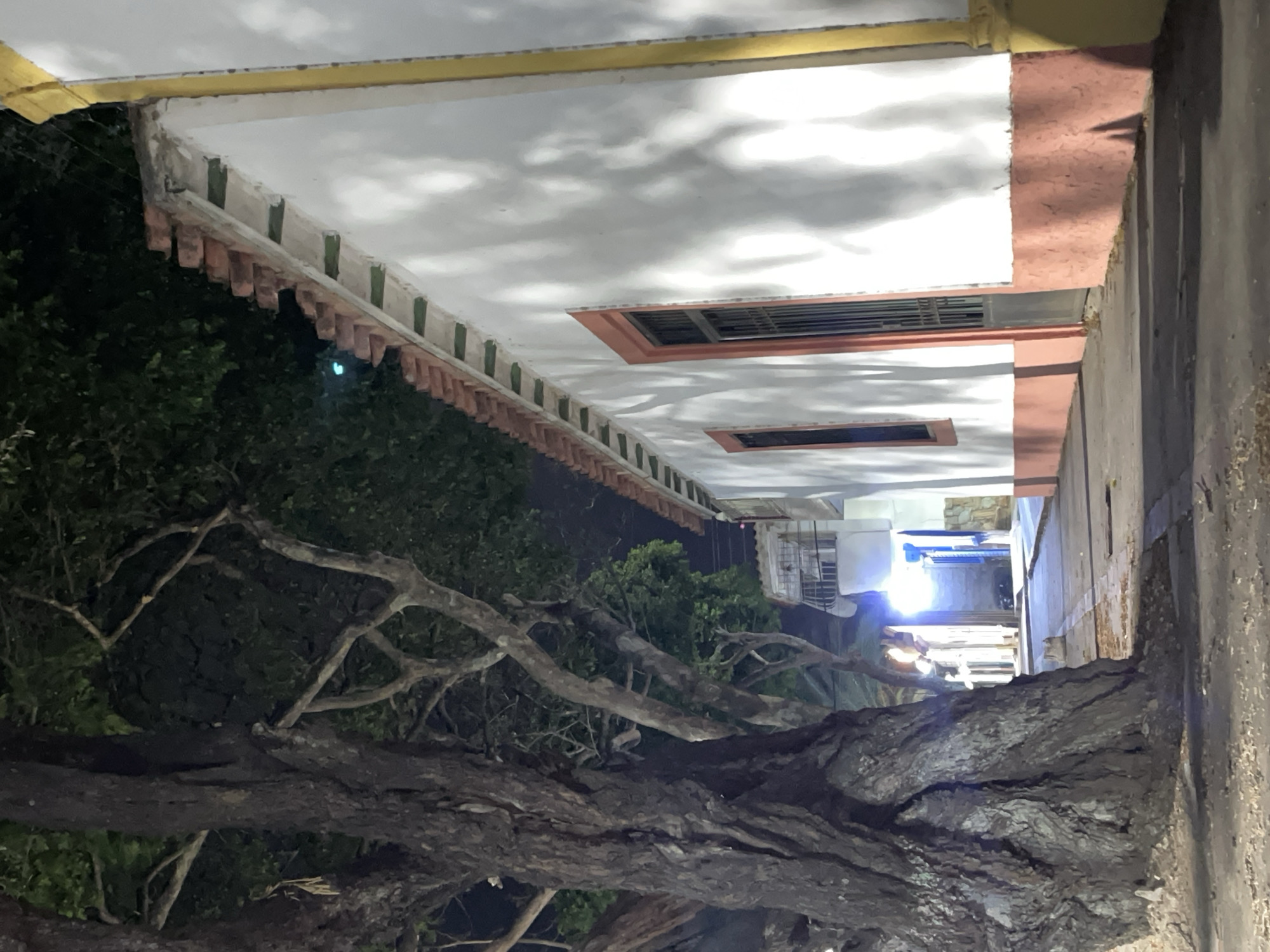 This nighttime image, taken in Tacarigua, Venezuela, presents a tranquil outdoor scene featuring a building, a large tree, and a narrow passageway.
On the right side of the frame, a building with a prominent white roof overhang is visible. The edge of the overhang features a distinct yellow trim, followed by a series of vertical green stripes above terracotta-colored, scalloped decorative elements. The white underside of the overhang reflects patterns, possibly from external light sources or cloud formations. Two rectangular openings, appearing to be windows with grates or screens, are set into the building's facade. A textured, reddish-brown wall forms the visible side of the building along the right edge, running parallel to a dark, rough-hewn path or wall.
The left and central portions of the image are dominated by a massive, old tree with a gnarled, dark, and textured trunk and thick, sprawling branches. Its dense, dark green foliage is visible, obscuring much of the background on the left.
In the distance, down the passageway alongside the building, a brightly lit area is visible, casting a strong blue glow, suggesting artificial illumination from an interior space or another section of the structure. The overall lighting indicates it is nighttime or late dusk. No people or explicit text are visible in the scene.