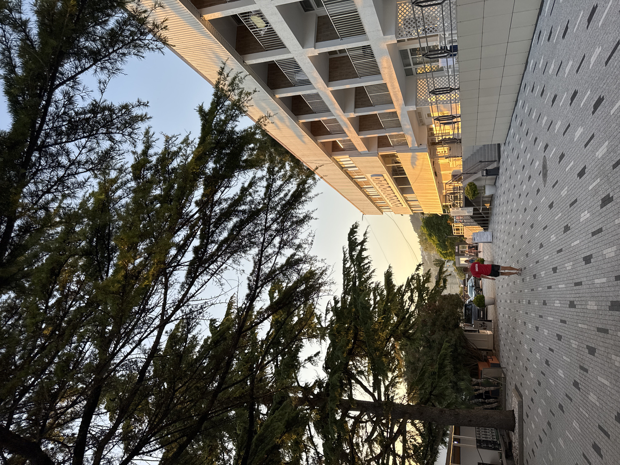 The image depicts a street scene in Sochi, Russia, likely during the late afternoon or early evening given the warm, golden light illuminating the buildings and pavement. The perspective is from below, looking upwards and along a tree-lined pathway.
In the foreground, dense evergreen trees with dark green foliage dominate the left side of the frame, their branches reaching upwards. Behind them, a multi-story building with a modern, white facade stretches across the middle ground, featuring balconies with metal railings and a repeating grid pattern. The building's exterior is bathed in the warm glow of the setting sun. A sidewalk paved with grey and white rectangular tiles runs alongside the building, extending into the distance.
Further down the sidewalk, a person wearing a red t-shirt with white lettering and black shorts is walking away from the camera. They appear to be the only clearly visible person in the immediate vicinity. A few cars are parked along the street behind them. The overall scene suggests a tranquil urban environment with a touch of natural beauty provided by the trees. The sky is clear and a pale blue, with the sun's rays casting long shadows and highlighting the architectural details of the building. The warm lighting evokes a sense of calm and a pleasant end to the day. No specific text is clearly legible on the building or signage.