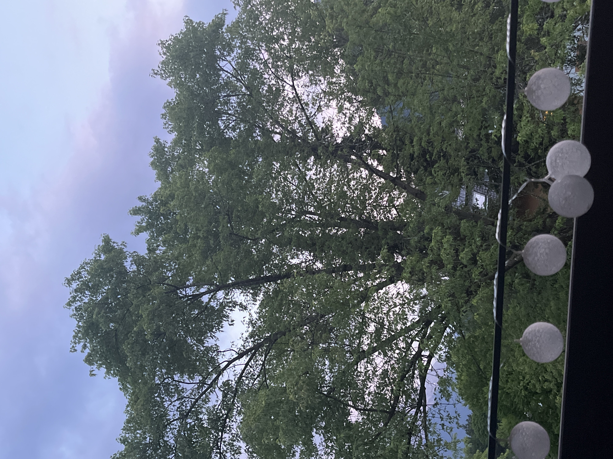 This image shows a view of a large tree with green leaves against a cloudy sky. In the foreground, there is a string of round, white lights hanging from a dark bar. In the background, behind the tree, there are some buildings visible, possibly houses, with dark roofs and some windows. The sky is a mix of gray and purple hues, suggesting either dawn or dusk. The overall scene appears to be outdoors, possibly from a balcony or window overlooking a residential area with mature trees. The location is Garmisch-Partenkirchen, Germany.