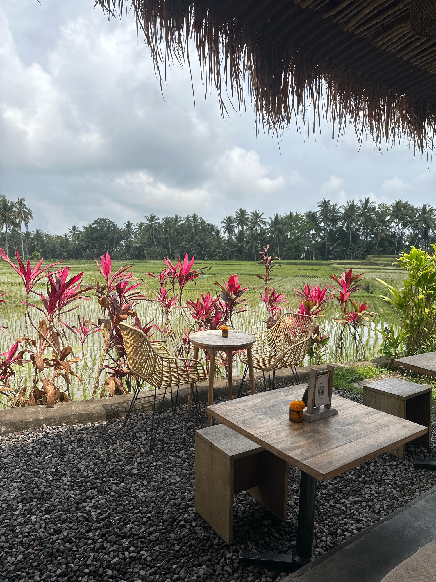 An outdoor seating area is situated in front of a lush green rice paddy field under a cloudy sky. The foreground is covered in dark gray gravel, with several wooden tables and chairs arranged for dining. A prominent wooden table with a black metal base is in the center, adorned with a small orange flower in a glass vase and a QR code menu stand. Two wooden benches are placed under this table. To the left, a round wooden table with a single wicker chair is positioned. Behind the seating area, a row of vibrant red-leafed plants separates the patio from the rice field. The rice paddy is flooded, reflecting the sky, and stretches towards a dense line of palm trees and other foliage in the background. A hint of a thatched roof overhang is visible at the top of the image. The scene suggests a tranquil dining or relaxation spot in a tropical rural setting.