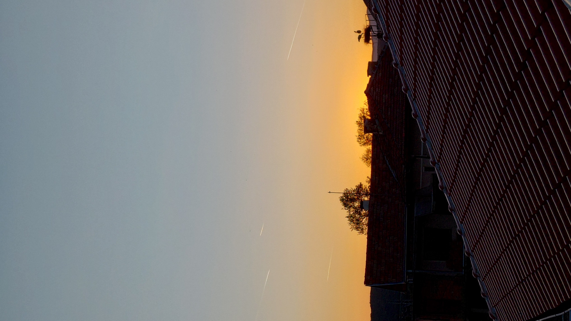 The image shows a sunset view in an urban environment. The sky transitions from a pale blue on the left to a vibrant orange towards the center and right. Jet contrails are visible in the sky. On the right, there's a building with a tiled roof, its texture defined by linear patterns. Trees are silhouetted against the bright sunset sky. A plant is situated on the roof of the building. The location is the city of Unknown, Unknown.