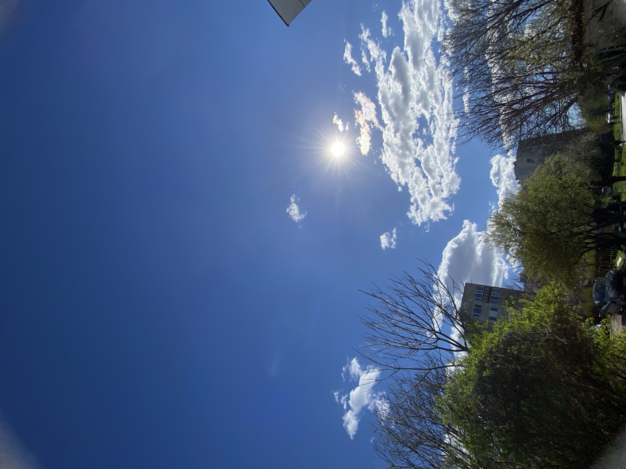 The image is a low-angle shot facing the sky with elements of an urban environment visible.
Sky: A large portion of the image is occupied by a clear, deep blue sky. There are scattered cumulus clouds, predominantly on the right side of the frame, and a few smaller, isolated clouds elsewhere. The sun is visible as a bright, concentrated point of light, possibly slightly obscured by a cloud.
Urban Environment: The bottom of the image shows trees with a mix of bare and budding branches, suggesting early spring. A multi-story building is visible through the foliage. The buildings and the presence of trees suggest an urban residential area, possibly a park or a green space within a city.
In Pleven, Bulgaria, based on the architectural style of the building and the general environmental characteristics, it could potentially be a shot taken within a residential neighborhood or near a park. The presence of both mature trees and modern residential buildings indicates a developed urban landscape, but without specific landmarks, definitive location confirmation within Pleven is difficult.