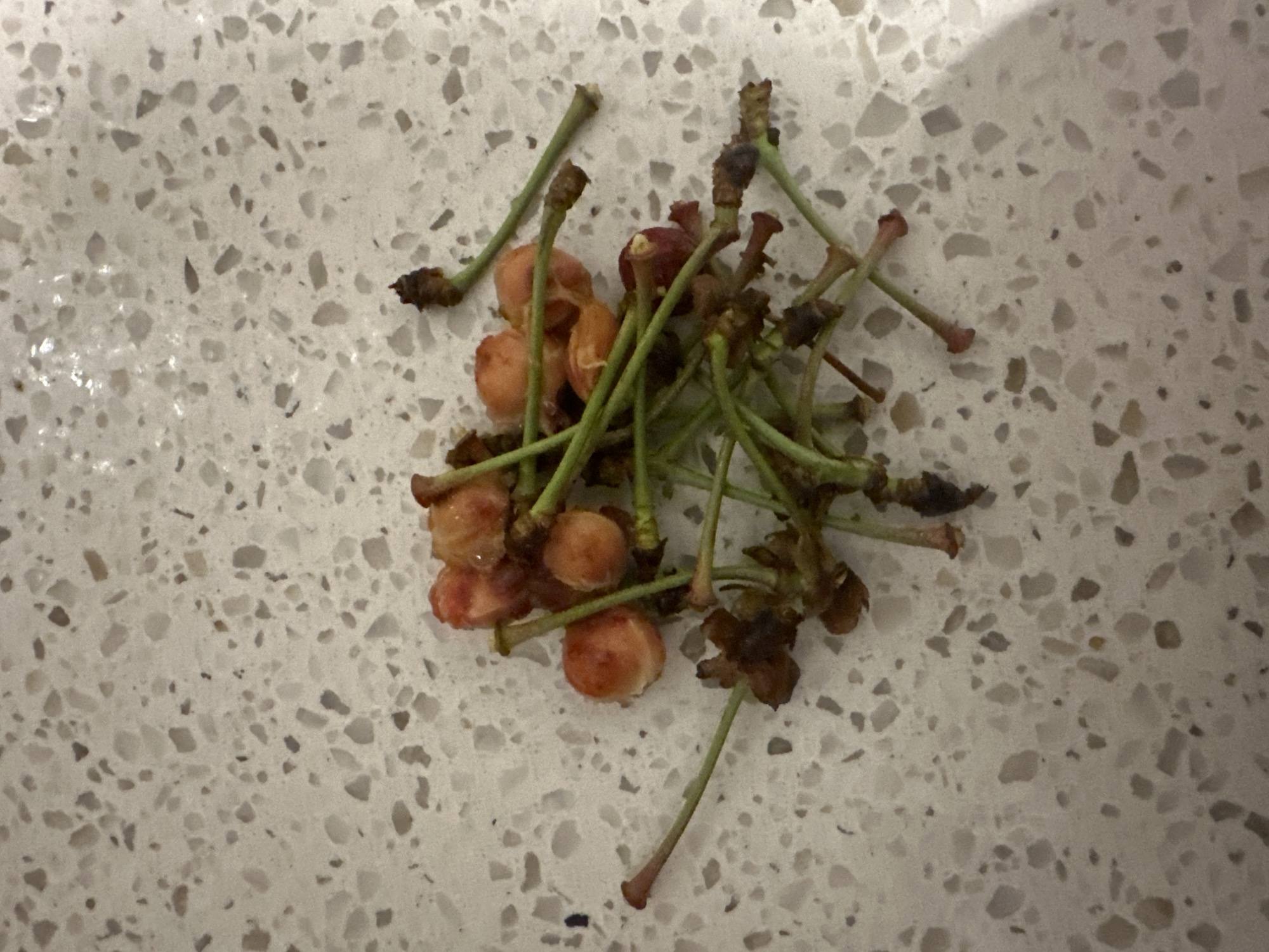 A close-up, top-down shot shows a pile of roughly a dozen cherry stems with some remnants of the cherry fruit attached. The stems are predominantly green with some brown, dried-out ends. A few of the remaining fruit pieces are a pale, translucent pinkish-orange, suggesting they have been deseeded or are incomplete. The pile of stems is located on a white countertop with a speckled pattern of light gray and beige flecks. The lighting is dim, creating soft shadows. The scene is devoid of any human presence or activity.