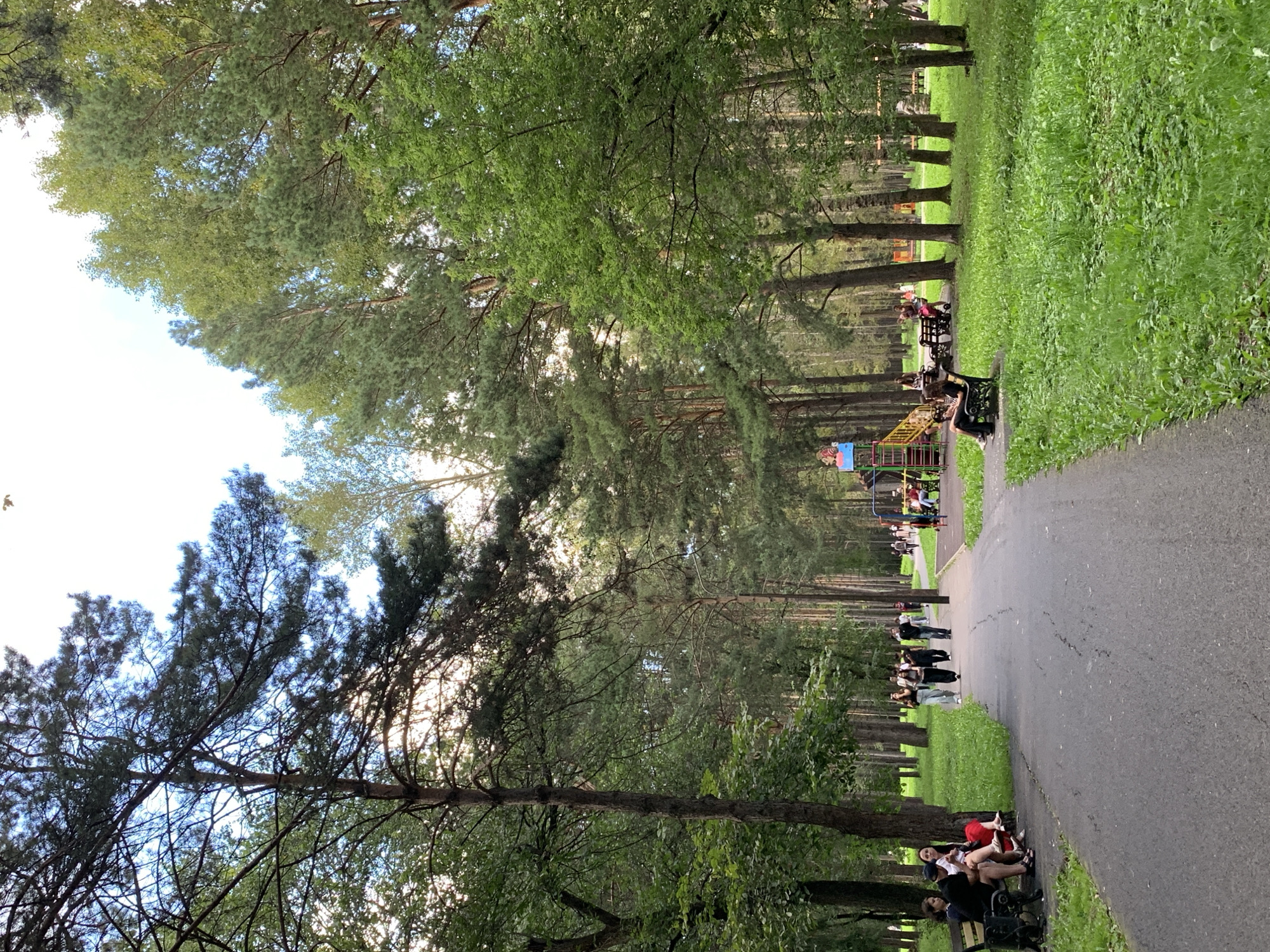 The image depicts a park scene with a paved walkway curving through a wooded area with tall trees. Several people are present in the park. On the left side of the walkway, four individuals are seated on a park bench. Further down the walkway, a group of six people are walking. In the distance, a playground with colorful structures is visible, with several individuals, including children, near it. Another group of people are seated on benches and standing near the playground. The ground is covered with green grass, and the trees create a canopy overhead, with some sunlight filtering through. The scene appears to be a public park, likely in Prokopyevsk, Russia, given the context.