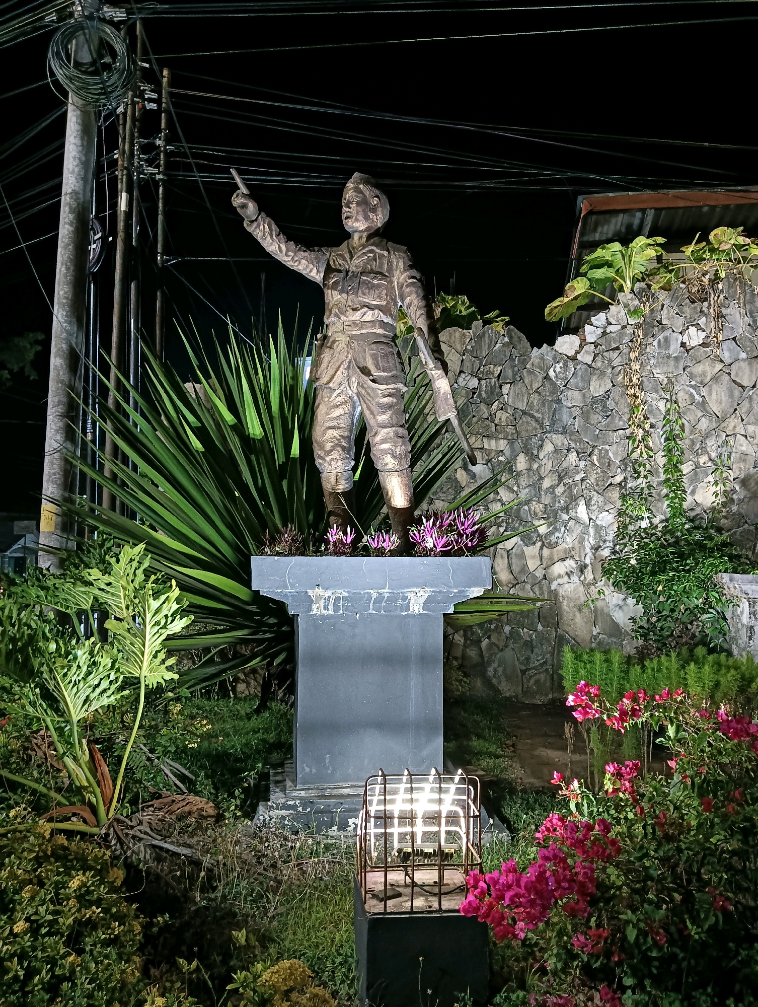 The image depicts a bronze statue of a man in military uniform standing in a garden at night. The statue is positioned on a dark grey pedestal in the foreground, with a stone wall in the background. The man is pointing his right index finger upwards and to the left, and he is holding a rifle in his left hand. He is wearing a helmet, a jacket, and trousers.
The garden is filled with lush green plants and vibrant pink flowers. To the left of the statue, there is a tall utility pole with numerous electrical wires. The scene is illuminated by artificial lighting, highlighting the statue and the surrounding vegetation. Based on visual cues, this statue is likely the "Tugu Pahlawan" (Heroes' Monument) located in the city of Purworejo, Indonesia, often situated in public spaces.