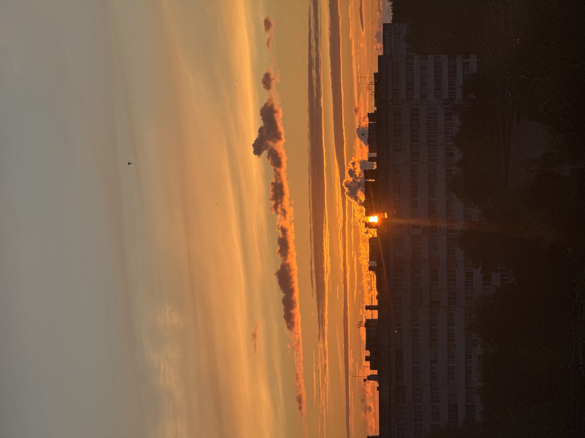 A horizontal, wide-angle shot captures a sunset over a residential building in Sosnoviy Bor, Russia. The sky is a vibrant gradient of orange and yellow, with horizontal bands of clouds and a single bird flying high above. The sun is partially obscured by the top of the building, casting a strong lens flare downwards. The building itself is a multi-story, Soviet-era apartment block with numerous windows. In the foreground, silhouetted trees obscure the lower portion of the building and the ground. The overall impression is one of an urban landscape at dusk.
