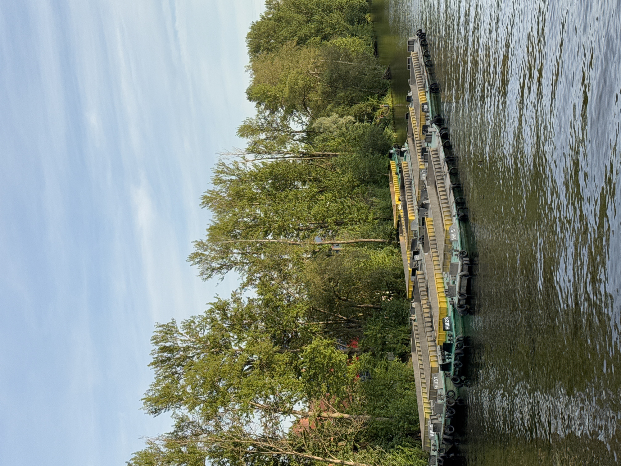 The image shows a fleet of barges docked on a river, likely the Neva River, in Saint Petersburg, Russia. The barges are long and narrow, with green hulls and yellow upper decks. They are arranged in parallel rows, with some appearing to be empty and others loaded with construction materials or other cargo. The riverbanks are lined with lush green trees, suggesting a summer or early autumn setting. The sky is a clear blue with a few wispy clouds. In the background, hints of buildings are visible through the trees, indicating the proximity of the city. There are no people visible in the image, and the overall scene is one of quiet industry and natural beauty.