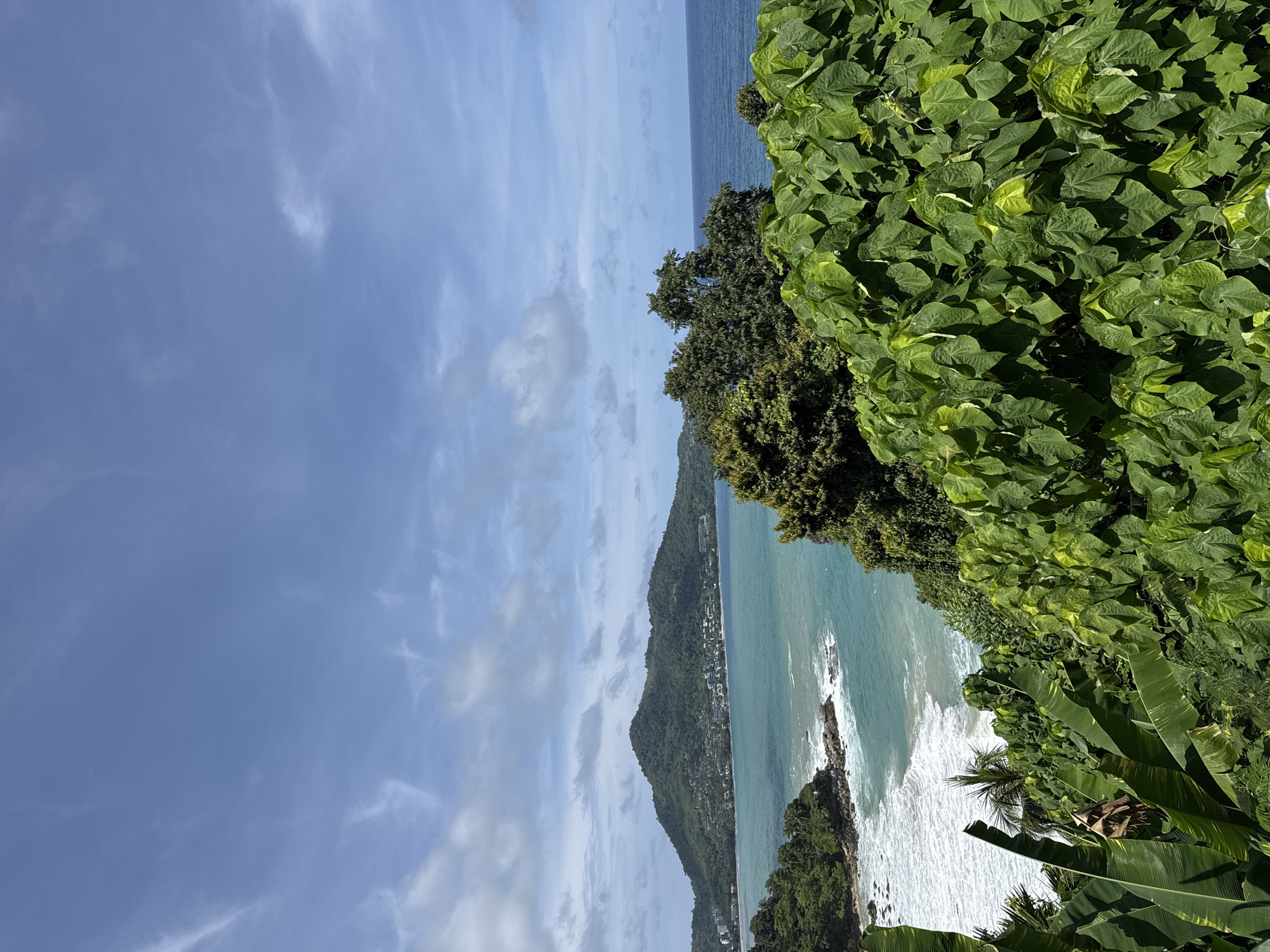 This is an eye-level, outdoor, wide shot photograph taken on a sunny day. The image depicts a coastal landscape with lush greenery in the foreground and a turquoise ocean in the background. In the middle ground, a verdant, tree-covered hill overlooks a bay with a small beach. The hill is dotted with buildings. The ocean stretches to the horizon, meeting a blue sky filled with scattered white clouds. The foreground is dominated by dense, green foliage, including large-leafed plants and banana leaves. The scene appears to be located in the vicinity of Ban Bang Thao, Thailand. There are no people or animals visible in the image.