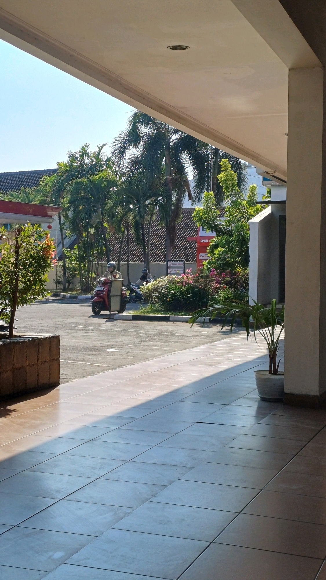 The image captures a bright, sunny day in Pabelan, Indonesia, looking out from a covered walkway towards a street scene. The foreground features a tiled walkway with a prominent shadow stretching across it, indicating the sun is high in the sky. To the left, a low, textured planter box sits partially in shadow. Beyond the walkway, a paved area appears to be a parking lot or street, with several vehicles present.
Dominating the mid-ground are lush green trees, including palm trees, and a vibrant patch of flowering bushes in shades of pink and white. A red scooter with a rider wearing a helmet is visible in the center of the image, to the left of the greenery. Further back, another person on a scooter is seen. In the background, a building with a tiled roof is partially visible, along with signs that appear to be for a gas station, one reading "SPBU". The sky is clear and blue, suggesting fair weather conditions. The overall scene depicts a typical outdoor area in a tropical or subtropical urban or semi-urban environment.