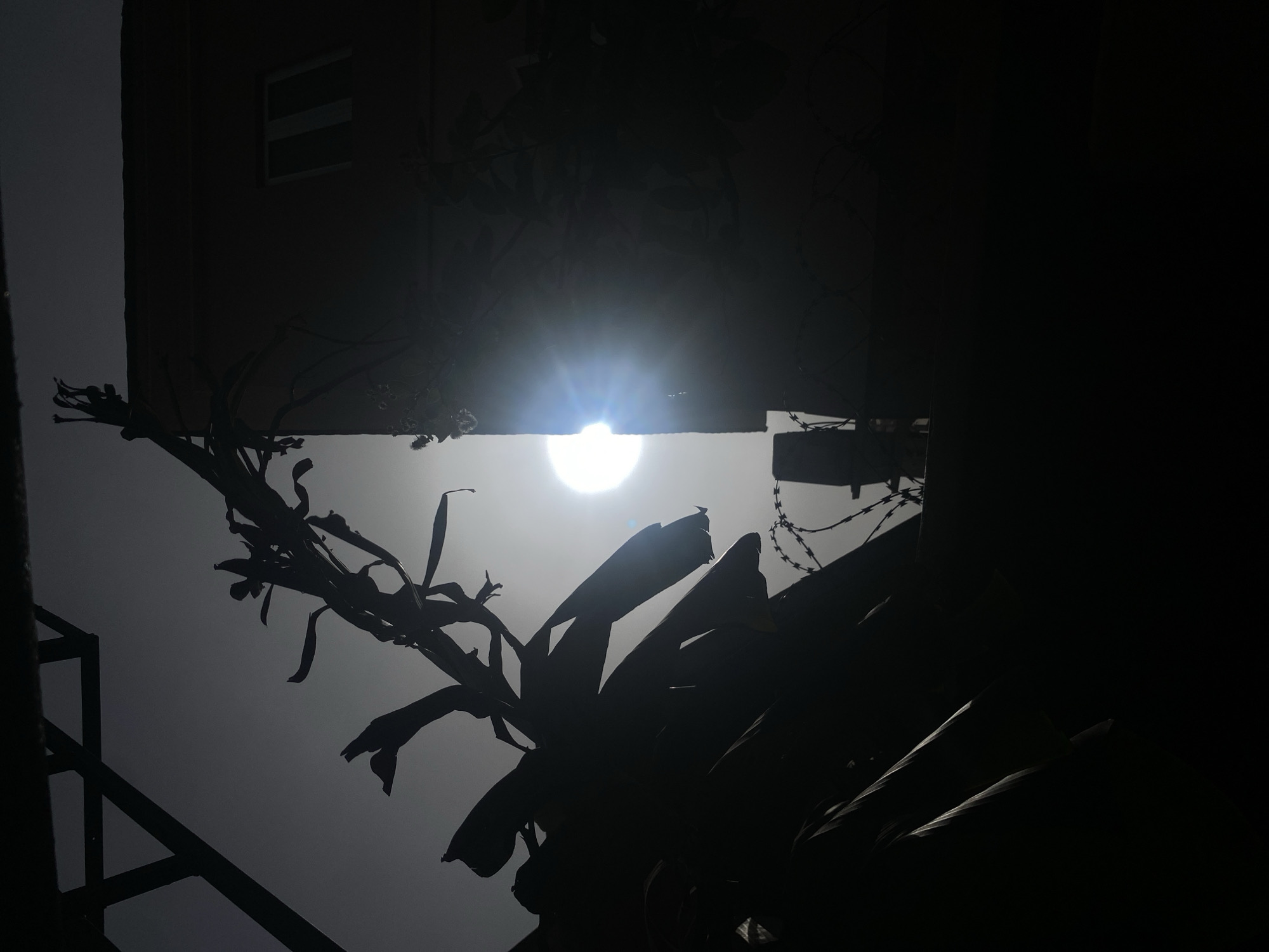 The image captures a high-contrast, backlit scene, predominantly featuring silhouettes. A brilliant, overexposed sun, positioned centrally, is the dominant light source, emitting strong rays and lens flare. It appears through a gap between various dark, silhouetted elements.
On the upper left, part of a building or structure is visible in silhouette, featuring a rectangular window. To the right, another dark, rectangular structure, possibly a wall or building edge, is topped with coils of barbed wire, adding a sense of security or enclosure.
In the foreground and mid-ground, large, dark leaves and foliage, resembling tropical plants such as banana or palm leaves, extend from the left and bottom right, creating intricate silhouettes against the bright sky. On the far left, an angular metallic structure, possibly a railing or scaffolding, is also silhouetted.
The bright sun indicates it is daytime, likely early morning or late afternoon, under a clear sky. The overall atmosphere appears somewhat hazy, diffusing the light around the sun. The scene depicts an outdoor environment in Barden Yana, Nigeria, combining man-made structures with natural vegetation. No activity or visible text is present.
