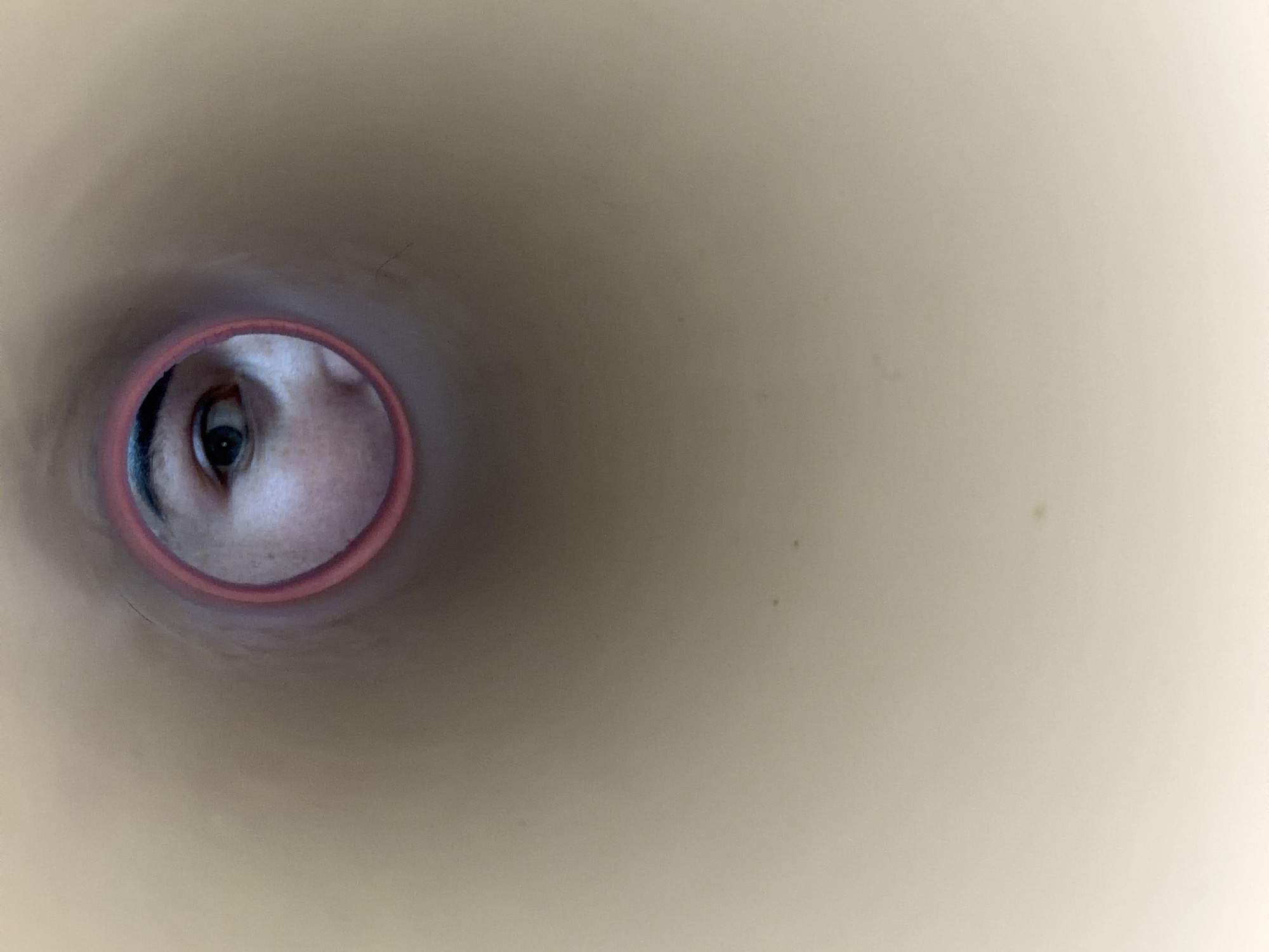 The image displays an abstract, close-up view of a human eye, seen from within a light-colored tubular structure. A single eye, with a dark iris and visible pupil, is centrally positioned and framed by a reddish-pink circular edge, which appears to be the rim of the tube. Eyelashes are discernible around the eye. The skin surrounding the eye is smooth, showing no strong emotional expression, suggesting a neutral or contemplative gaze.
The setting is primarily the interior of this tube, characterized by its smooth, uniform light beige or off-white surface. This creates a confined, tunnel-like perspective, with the eye at the distant end. The lighting is soft and diffused, casting no harsh shadows, illuminating the eye and the inner walls of the tube evenly.
The activity taking place is observation or peering. The subject is looking directly into or out of the tube, and the photograph captures this unique vantage point from within the tube itself. There are no other subjects or objects visible beyond the eye and the tube.
Notable details include the unusual perspective and the soft, neutral color palette. No specific time of day or weather conditions can be determined. There are no discernible location cues within the image itself to suggest its origin in Saint Petersburg, Russia, and no visible text is present. The overall impression is one of focused attention or a unique point of view through a restricted opening.