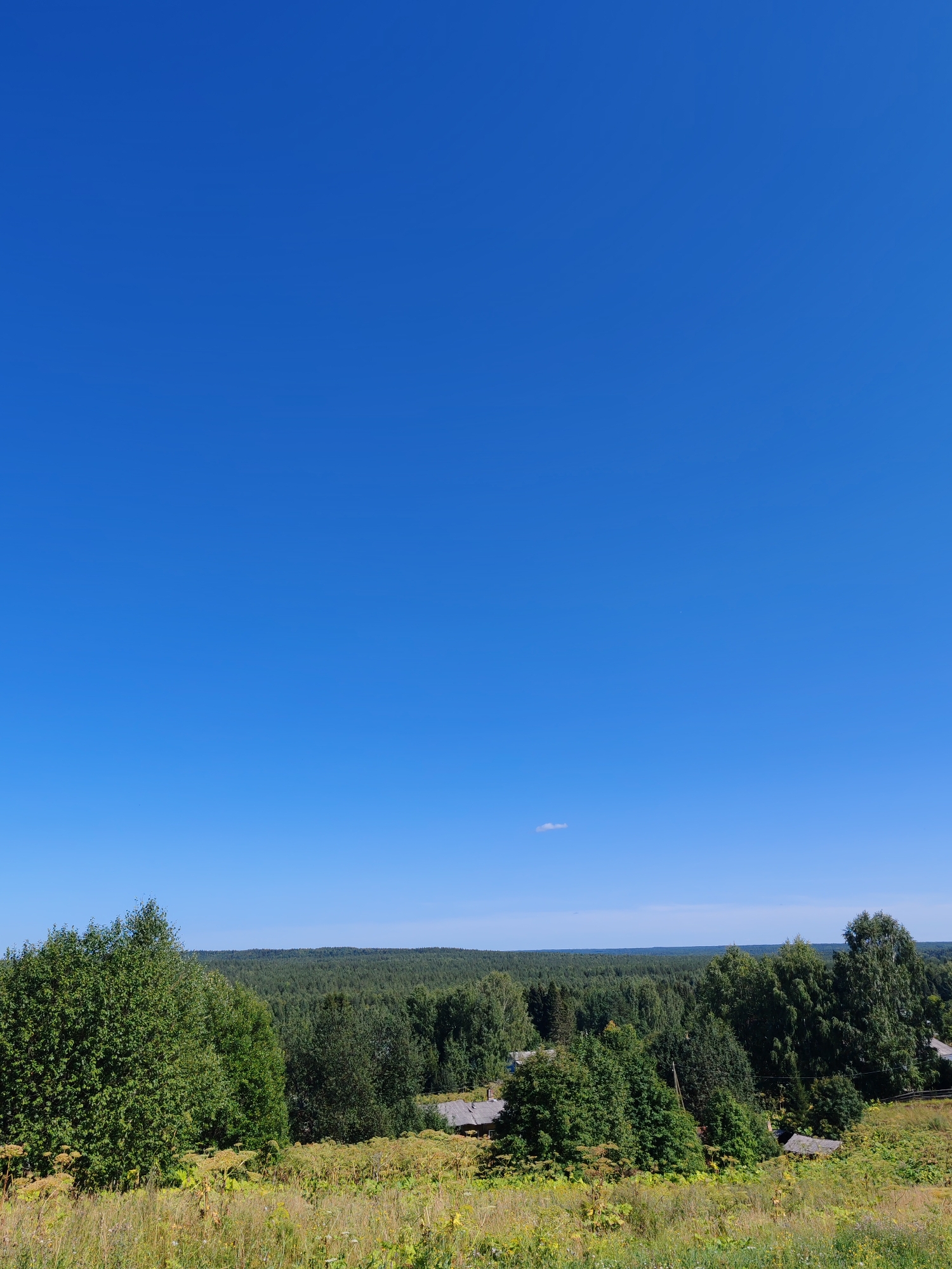 This is a landscape photograph taken from an elevated vantage point overlooking a rural area. The upper portion of the image is dominated by a clear, bright blue sky with a few very small, wispy clouds. Below the sky, a dense forest stretches across the horizon, appearing as a dark green band. In the foreground, a meadow with tall, dry grass and scattered wildflowers slopes downwards. Several small, rustic wooden buildings with gray, weathered roofs are visible nestled within the foliage and along the edge of the forest. The overall impression is one of a peaceful, natural setting. The location is identified as Chukhlem, Russia.