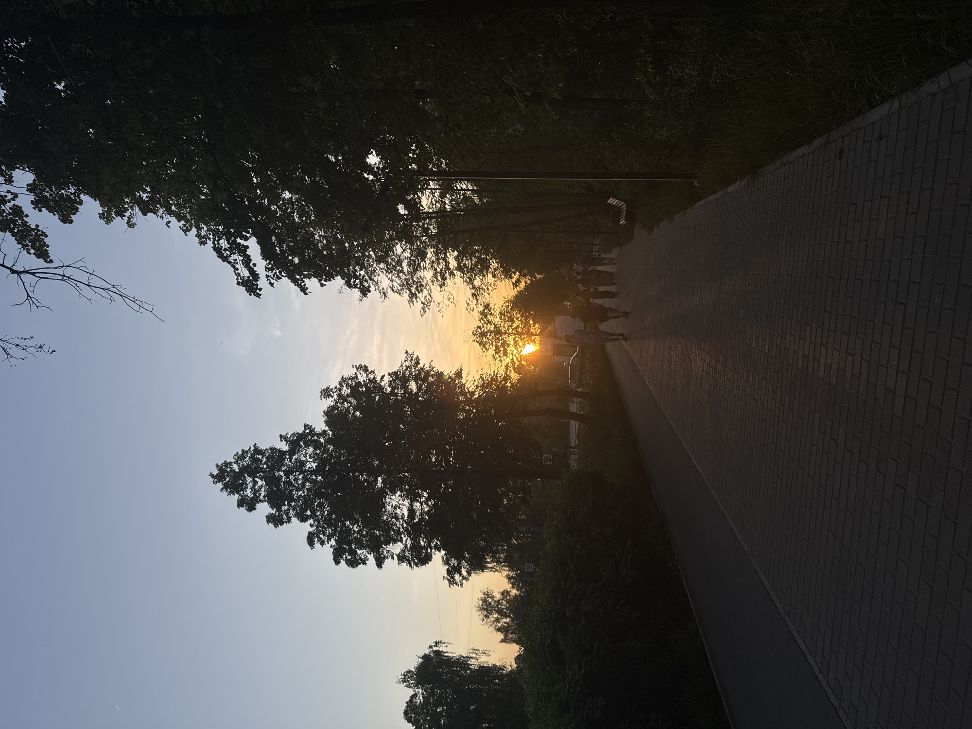 The image depicts a paved walkway or path in Chaikovsky, Russia, lined with trees on both sides. The sun is setting, casting a warm, orange glow between the trees. Several indistinct figures are walking along the path, silhouetted against the setting sun. A street lamp and a bench can be seen in the background on the right. The sky is a gradient of blue and orange. The ground is covered in brick. Vegetation is present on the sides of the walkway.