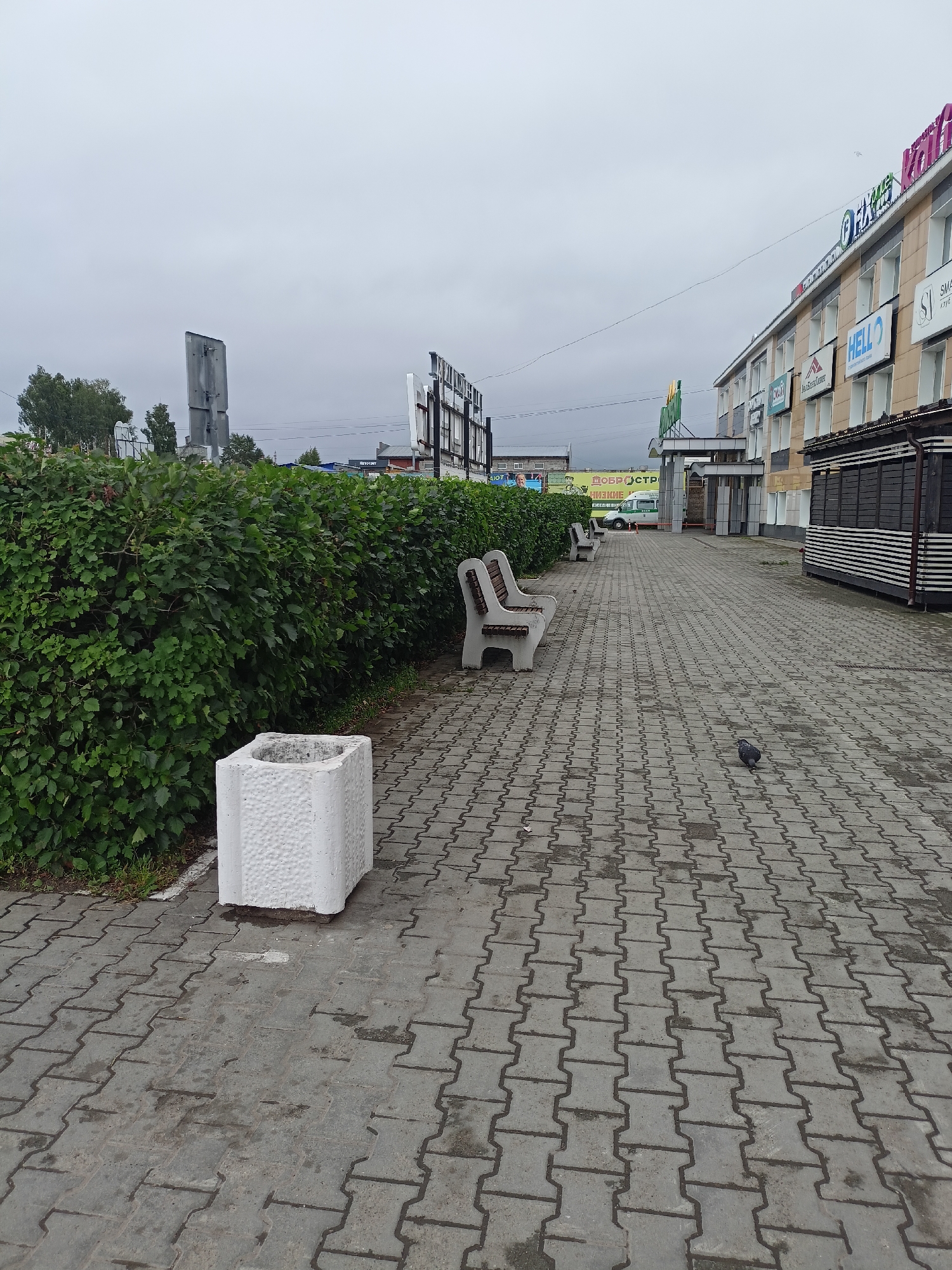 The image depicts an outdoor scene in Chaikovsky, Russia. The foreground is dominated by a paved walkway made of interlocking concrete pavers. To the left, a dense, green hedge runs along the edge of the walkway. In front of the hedge, there is a white, textured concrete planter box. Further along the walkway, two park benches with concrete bases and wooden slats are visible. A lone pigeon is standing on the pavement in the middle ground.
In the background, a modern commercial building with a light-colored facade stretches across the frame. The building has multiple windows and various signs on its upper level. Some of the visible text on the signs includes "FIX PRICE", "HELLO", and what appears to be "SMART" in English. The building's architecture suggests it is a shopping center or retail establishment. Behind the building and to the left, there are large billboards, one of which is partially obscured by a vertical metal structure. Trees and other vegetation can be seen beyond the hedge and the billboards, suggesting a suburban or semi-urban environment.
The sky is overcast with a uniform grey color, indicating a cloudy or possibly rainy day. The time of day is difficult to determine precisely due to the lack of strong shadows, but it appears to be daytime. The overall atmosphere is subdued, likely influenced by the overcast weather. No people are visible in the frame. The scene is static, with no discernible activity other than the pigeon standing on the ground.