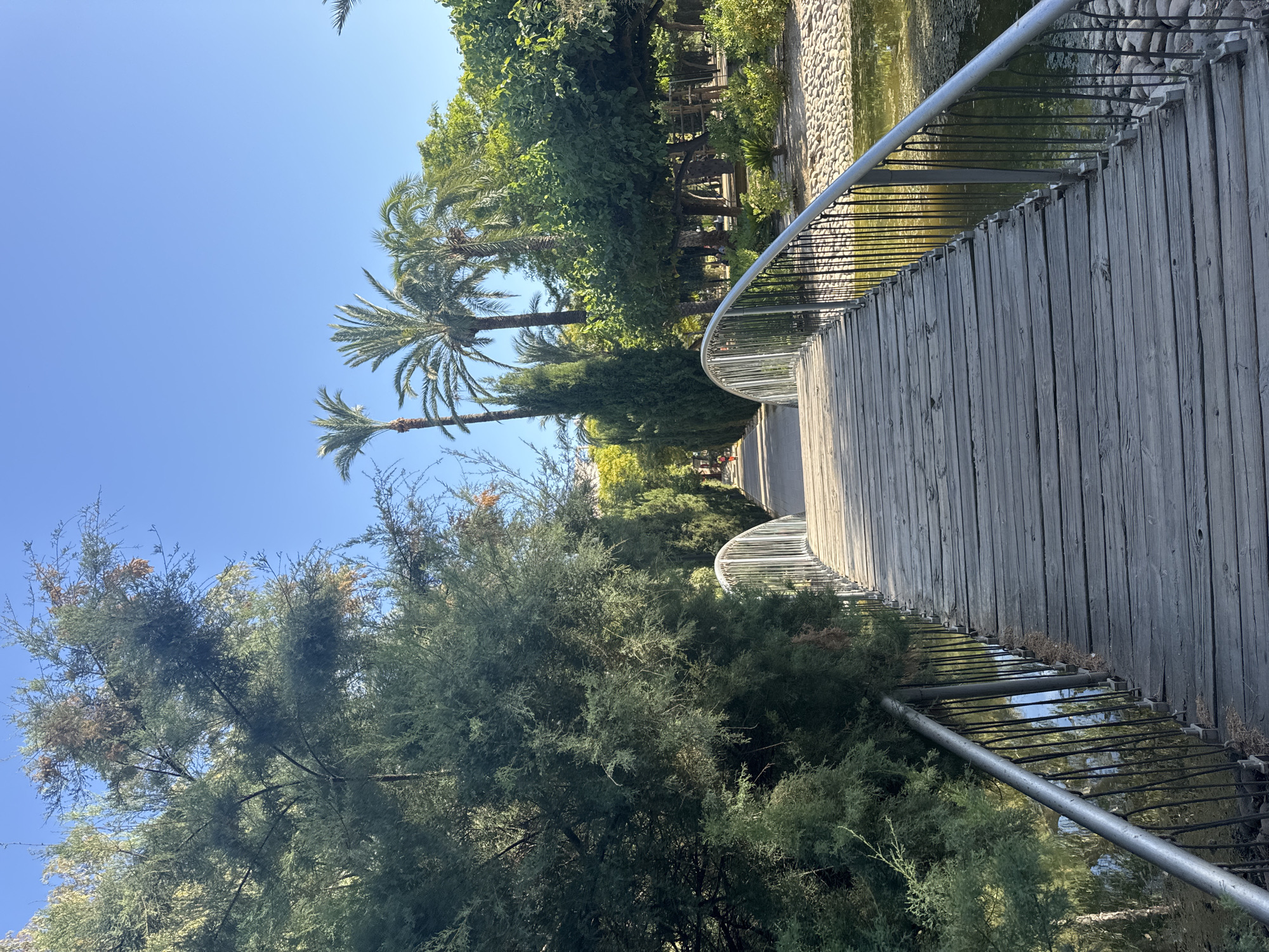 The image captures a wooden bridge with metal railings arching over a body of water. The bridge leads into a park with lush greenery, palm trees, and other trees. The sky is clear and blue. In the distance, a person can be seen walking along a path. The overall scene suggests a tranquil park setting. The location is identified as the Jardín de Floridablanca in Murcia, Spain, a historic park known for its abundant plant life and picturesque atmosphere.