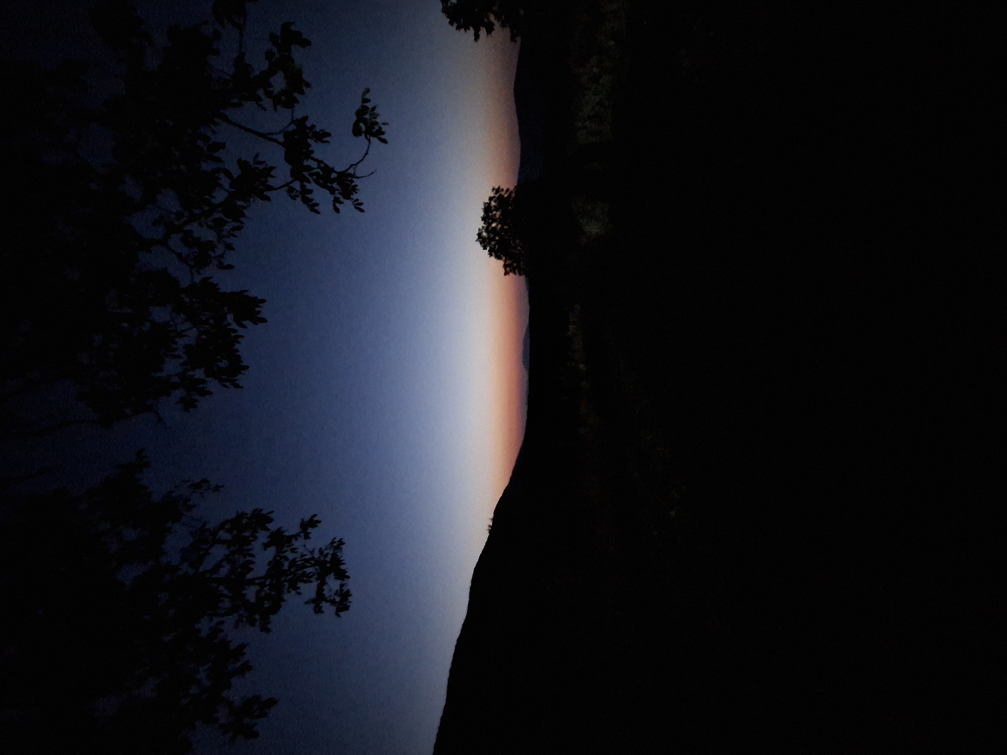 A silhouette of trees and hills against a dark blue sky at dusk. The sky transitions to a pale orange and pink near the horizon, indicating the sun has recently set. The foreground is a dark, indistinct mass, likely vegetation or ground cover. The image captures a natural landscape scene without any human presence or discernible man-made structures. The location is identified as Sel'mentauzen, Russia.