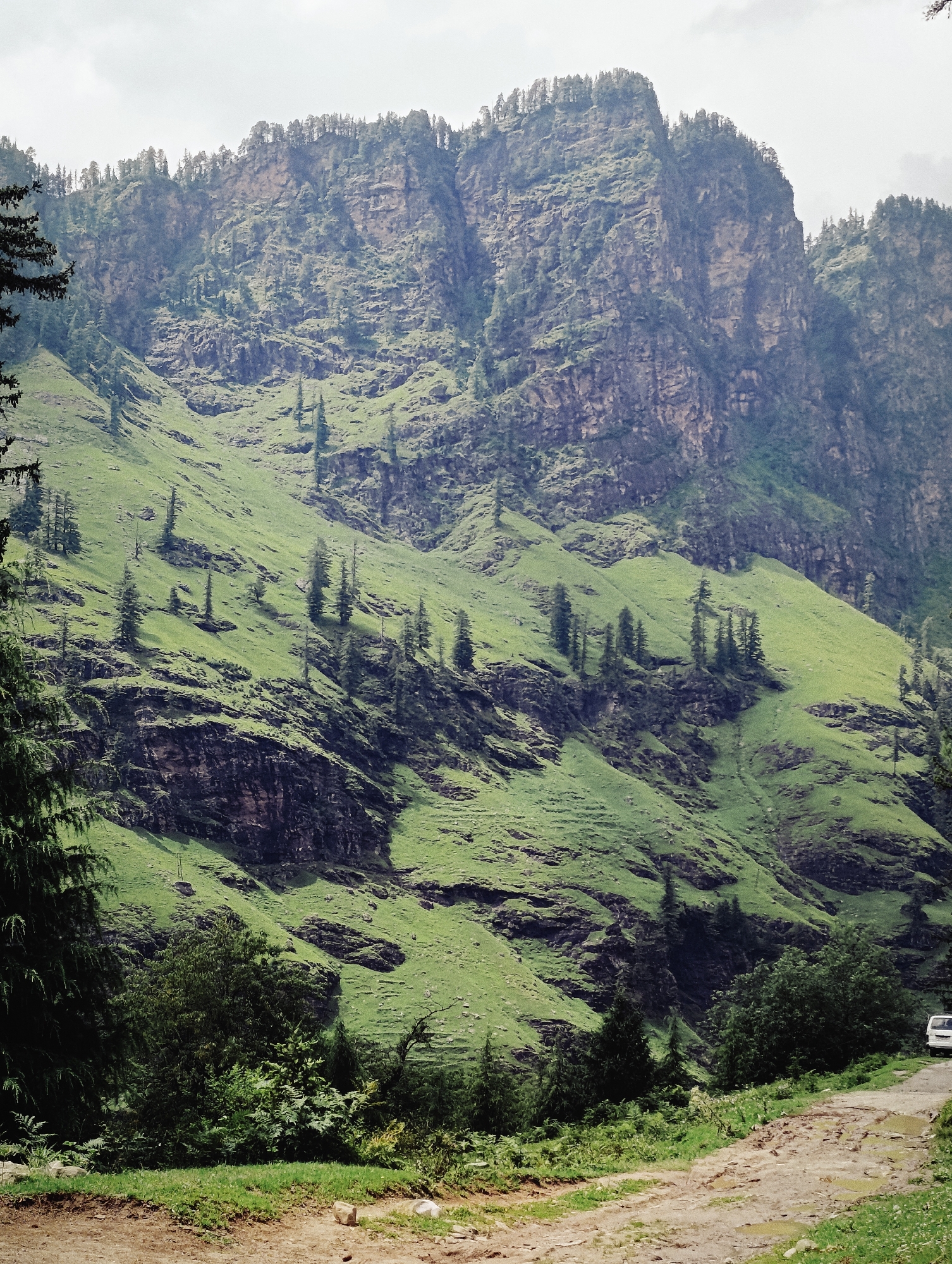 The image depicts a mountainous landscape near Kothi, India. The scene is dominated by a steep, green mountainside covered in grass and dotted with scattered evergreen trees. The upper part of the mountain features rocky, eroded cliffs. A dirt road, showing signs of wear and puddles, traverses the foreground. Dense green foliage and trees line the left side of the road, partially obscuring the view. On the right side of the road, a white van is visible in the distance. The sky above is overcast.