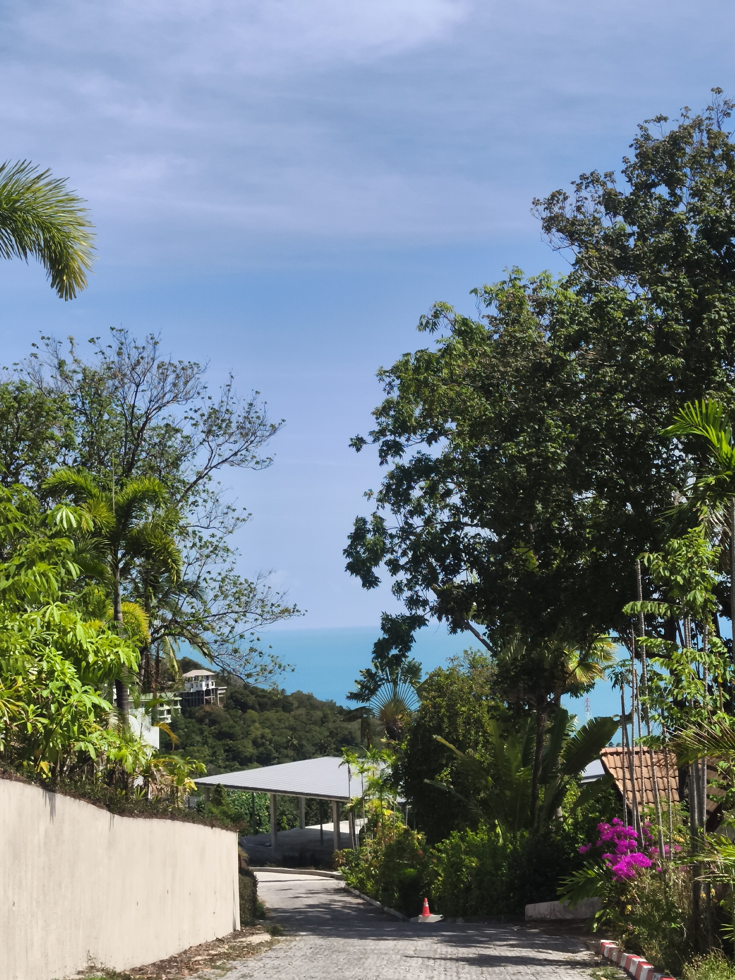 This is an outdoor, eye-level, medium shot taken on a bright, sunny day in the Ko Samui District of Thailand. The scene depicts a paved road winding uphill, flanked by lush, tropical foliage on either side. In the foreground, a light-colored, textured wall runs along the left side of the road. On the right, a tiled roof structure and vibrant pink bougainvillea flowers add color.
Further up the road, a carport with a grey, pitched roof is visible. Beyond that, the road continues to ascend a hill covered in dense green trees. In the distance, the turquoise ocean stretches towards the horizon, meeting a clear blue sky with a few wispy clouds. Several multi-story white buildings are perched on the hillside, overlooking the sea. The overall impression is one of a tropical, affluent residential area.