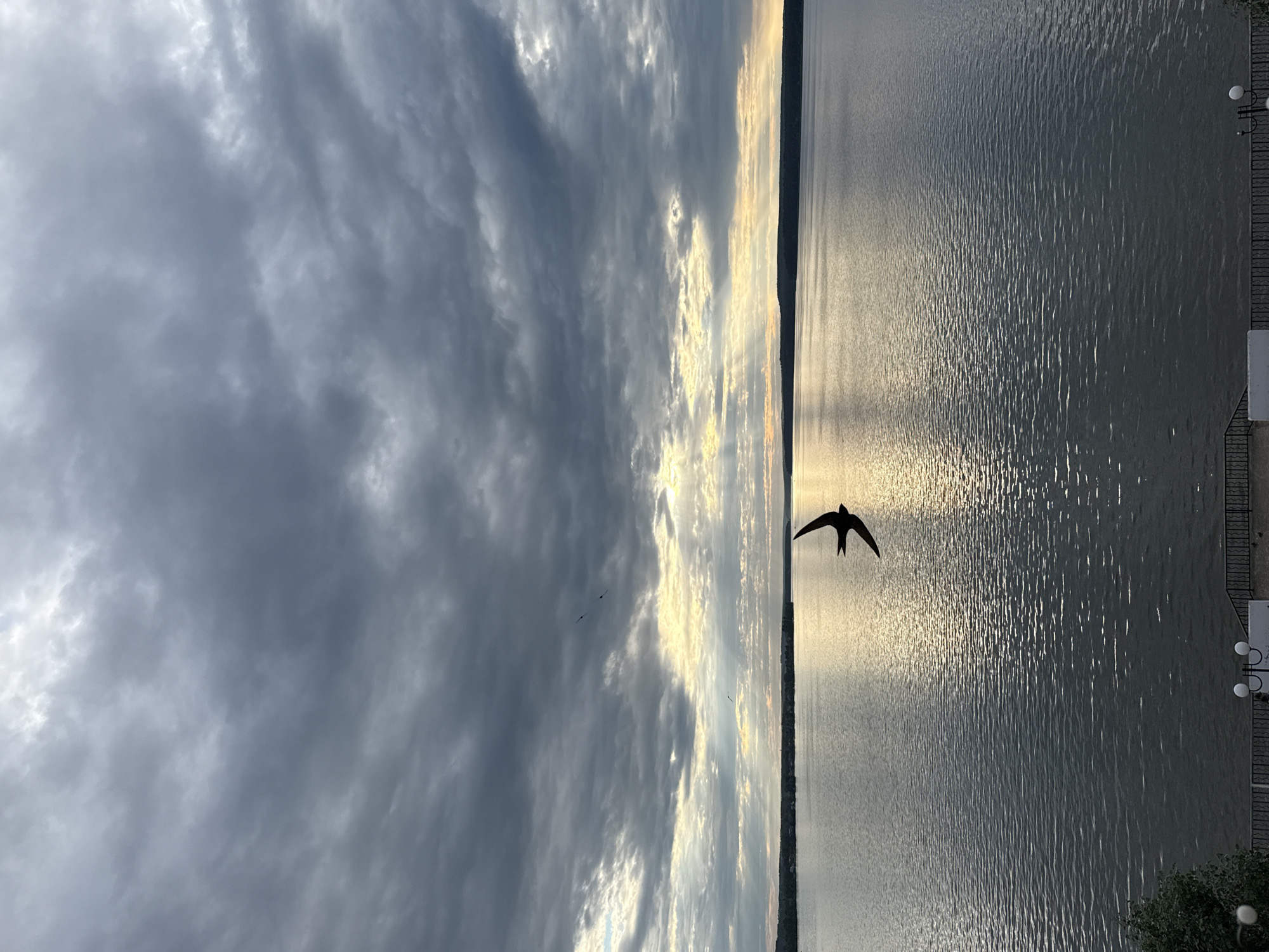 This media file depicts a picturesque scene of a body of water, likely a lake or river, at sunset. The sky is filled with dramatic clouds, with shafts of golden light breaking through, suggesting the sun is low on the horizon. The water's surface is rippled, reflecting the light and creating a shimmering effect.
A prominent subject in the scene is a silhouette of a bird in flight, its wings outstretched, appearing to glide gracefully over the water. In the distance, a dark line of trees or land can be seen along the horizon. The right edge of the frame shows a paved walkway or promenade with a decorative railing, and a couple of lampposts, hinting at a populated area or parkland adjacent to the water. A small amount of green foliage is visible in the lower right corner.
The overall mood is serene and contemplative, with the natural beauty of the sunset and the bird's flight creating a sense of peace and tranquility. The time of day is clearly sunset, indicated by the low angle of the sun and the golden hues in the sky and on the water. The weather appears partly cloudy, with the clouds adding texture and depth to the sky. While the specific location is Votkinsk, Russia, the image itself doesn't contain any explicit text that would further pinpoint the exact spot within Votkinsk.
