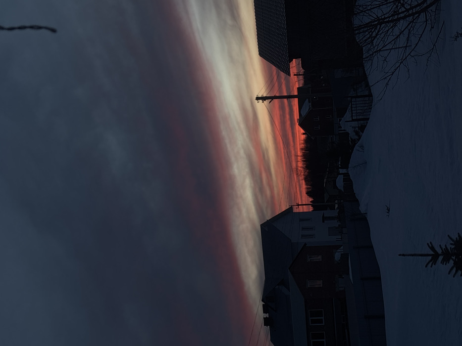The image presents a winter landscape at dusk or dawn in the city of Ольховка, Russia. The upper half is dominated by a sky displaying dramatic horizontal cloud formations, transitioning from dark grey and deep indigo at the zenith to vibrant bands of crimson, orange, and pale yellow closer to the horizon. The lower half of the scene is covered in a uniform blanket of snow, forming undulating mounds. A small, dark evergreen sapling stands in the foreground, bottom-center. Several residential buildings are visible in the midground, silhouetted against the ambient light: a two-story white structure with a dark roof on the left, an adjacent darker building, and another dark house on the far right. A dark utility pole with power lines is positioned towards the center-right. A dense, dark line of trees or forest marks the distant horizon. No individuals, actions, or specific interactions are discernable within the frame.