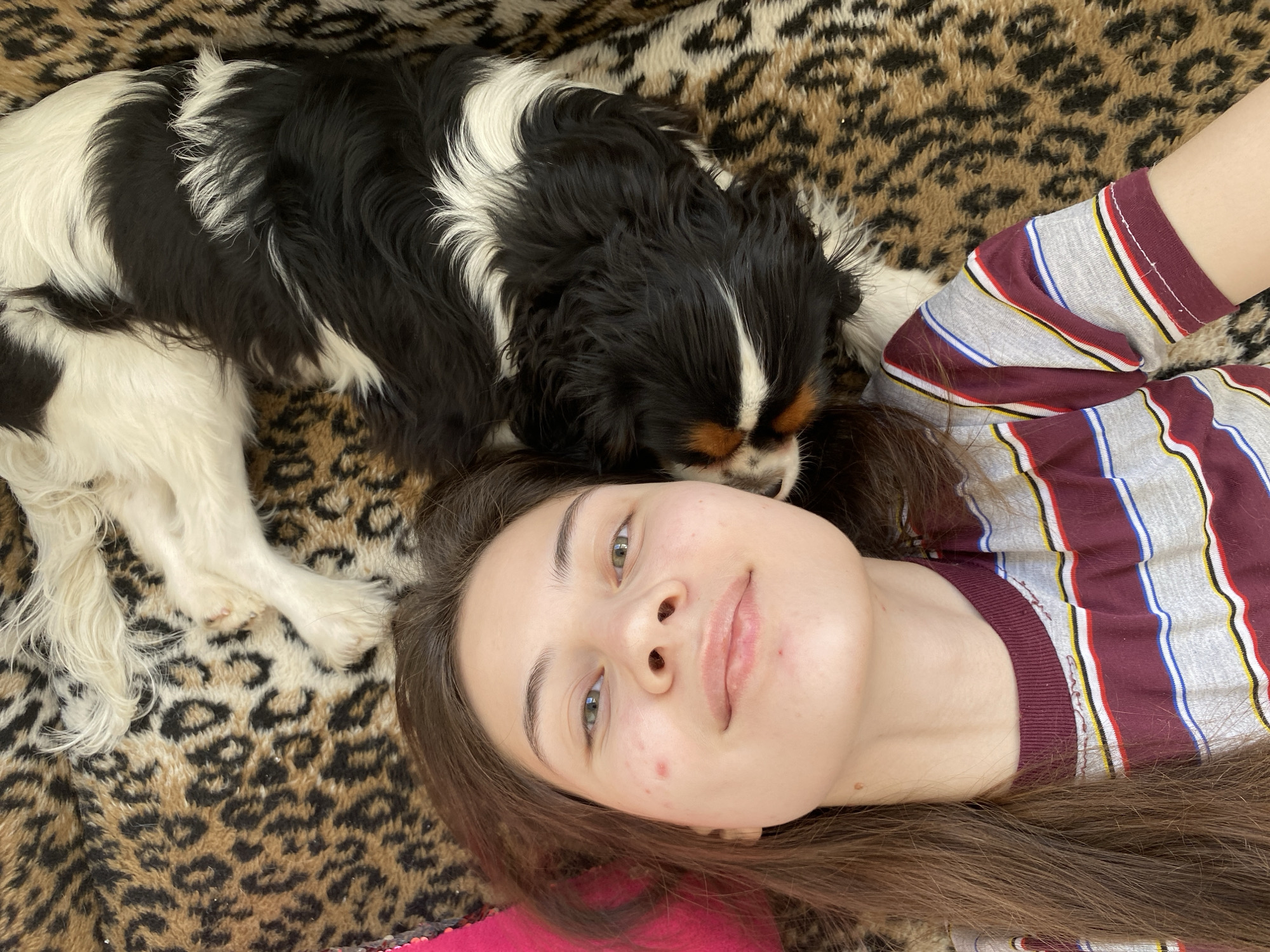 A young female and a Cavalier King Charles Spaniel dog are depicted resting together, viewed from an overhead perspective. The female, with long brown hair spread around her head, lies on her back, looking upwards towards the camera with a gentle, contented smile. She has light skin, green eyes, and appears to have minimal to no makeup, with a few natural blemishes visible on her cheeks. She is wearing a grey t-shirt with thin horizontal stripes in maroon, white, blue, yellow, and red.
The dog, a tricolor Cavalier King Charles Spaniel (black, white, and tan/brown markings), is nestled beside her head, its body partially obscured. Its head is resting near the female's temple, facing away from the camera, suggesting it is also relaxed or sleeping. Both subjects are positioned on a plush blanket or fabric with a distinct brown and black leopard print pattern, which serves as the background for the scene. A small section of pink fabric is visible near the female's left shoulder. The lighting is soft and even, indicating an indoor setting during the daytime. No text is visible in the image. The scene conveys a sense of comfort and affectionate companionship.