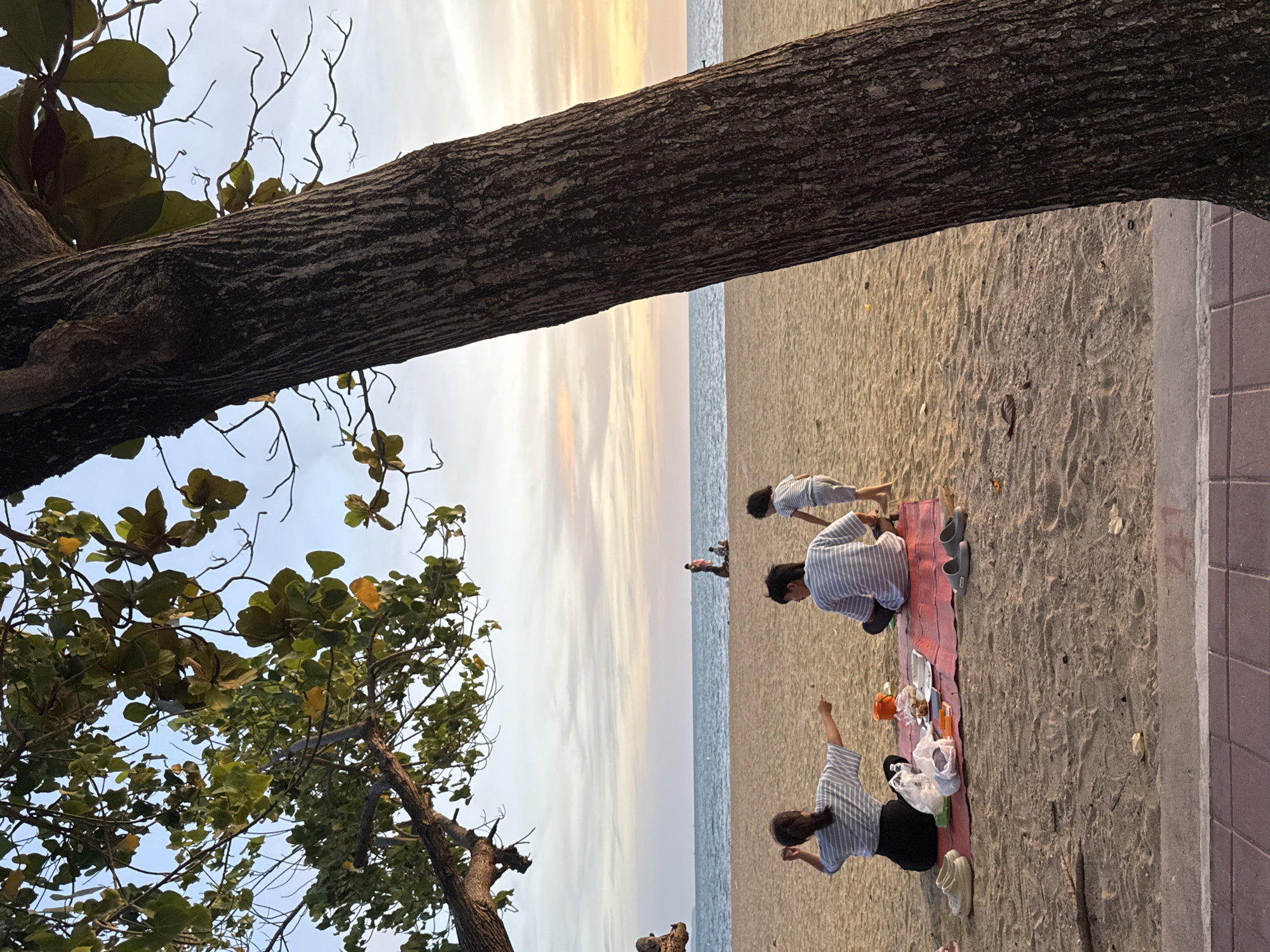 The image depicts a family enjoying a picnic on a beach. The location is Pattaya City, Thailand, as suggested by the landscape. The scene includes a large tree extending into the frame, partially obscuring the sky and ocean backdrop. The sky displays a gradient of colors indicating either sunrise or sunset. On the beach, a family is gathered on a red blanket. An adult, likely a woman, is seated with what appears to be food and drinks nearby. Another adult, possibly a man, is also seated close by, while a child stands up a short distance away, interacting with the sand. The beach appears sandy, with slight undulations. To the right, a tiled walkway borders the beach. People can be seen further away along the beach.