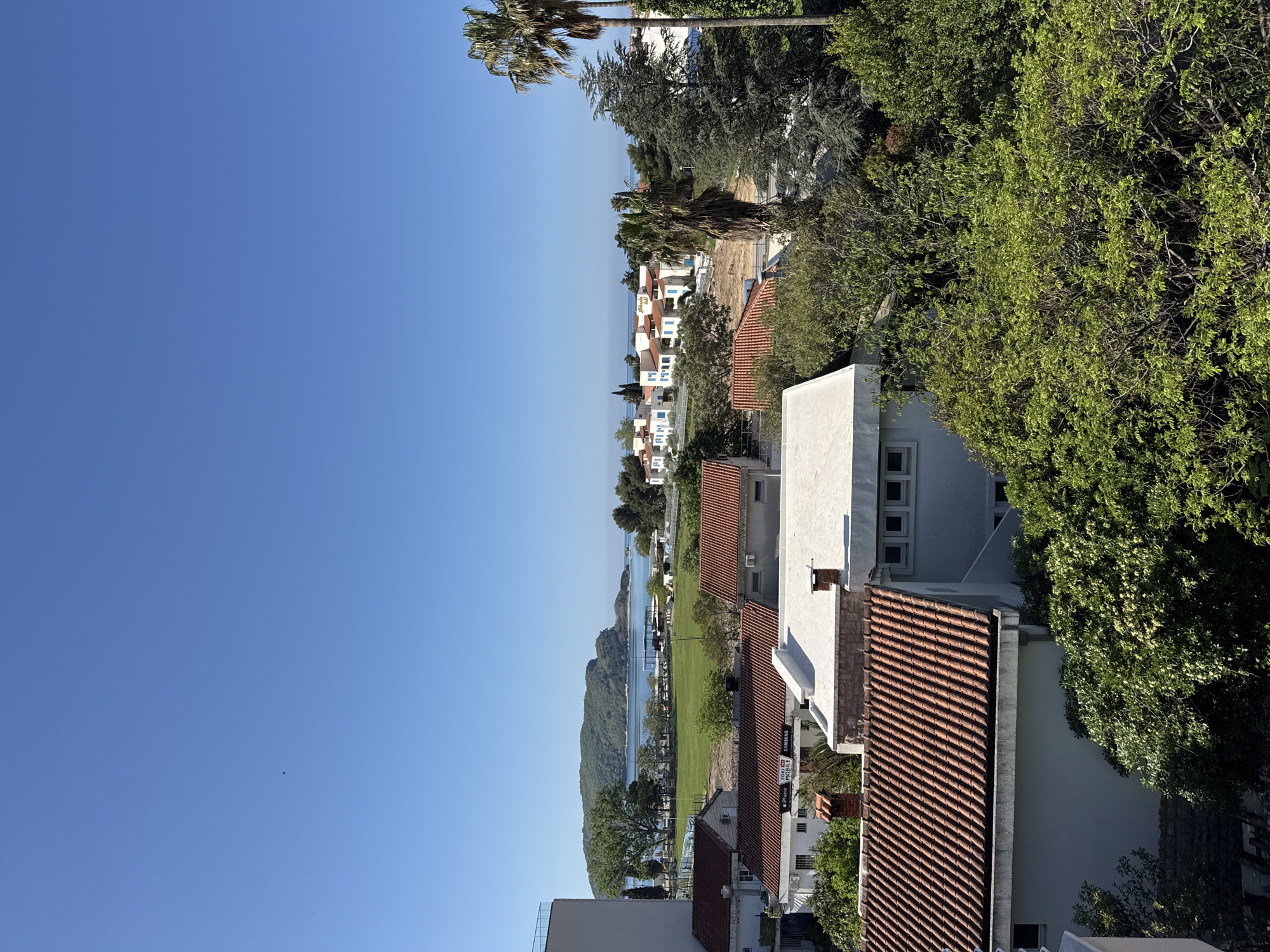 This image depicts a coastal scene in Budva, Montenegro, featuring a mix of residential buildings, greenery, and a view of the Adriatic Sea. The buildings have white facades and red-tiled roofs, typical of the Mediterranean architecture. Palm trees are visible in the landscape. The sea appears calm and blue, with a landmass visible in the distance, potentially Sveti Nikola Island. A grassy area or park is also present along the shoreline. The sky is clear blue, indicating a sunny day. There are no people visible in the image.