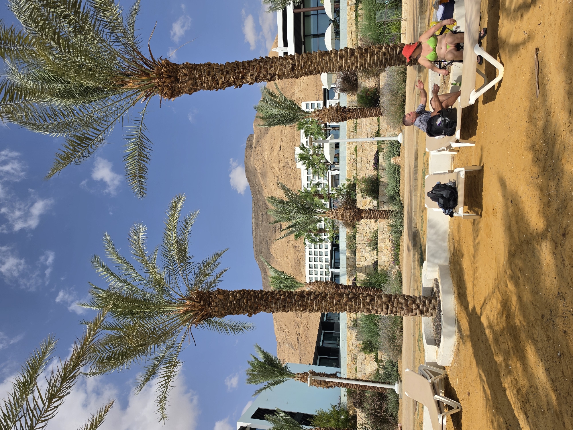 The image shows a sunny beach scene in Tamar Regional Council, Israel, featuring palm trees, lounge chairs with people, and a resort-style building against a mountain backdrop. Two people are relaxing on lounge chairs, while additional chairs are unoccupied. The ground is sandy, and there is some vegetation present. The sky is blue with some clouds.